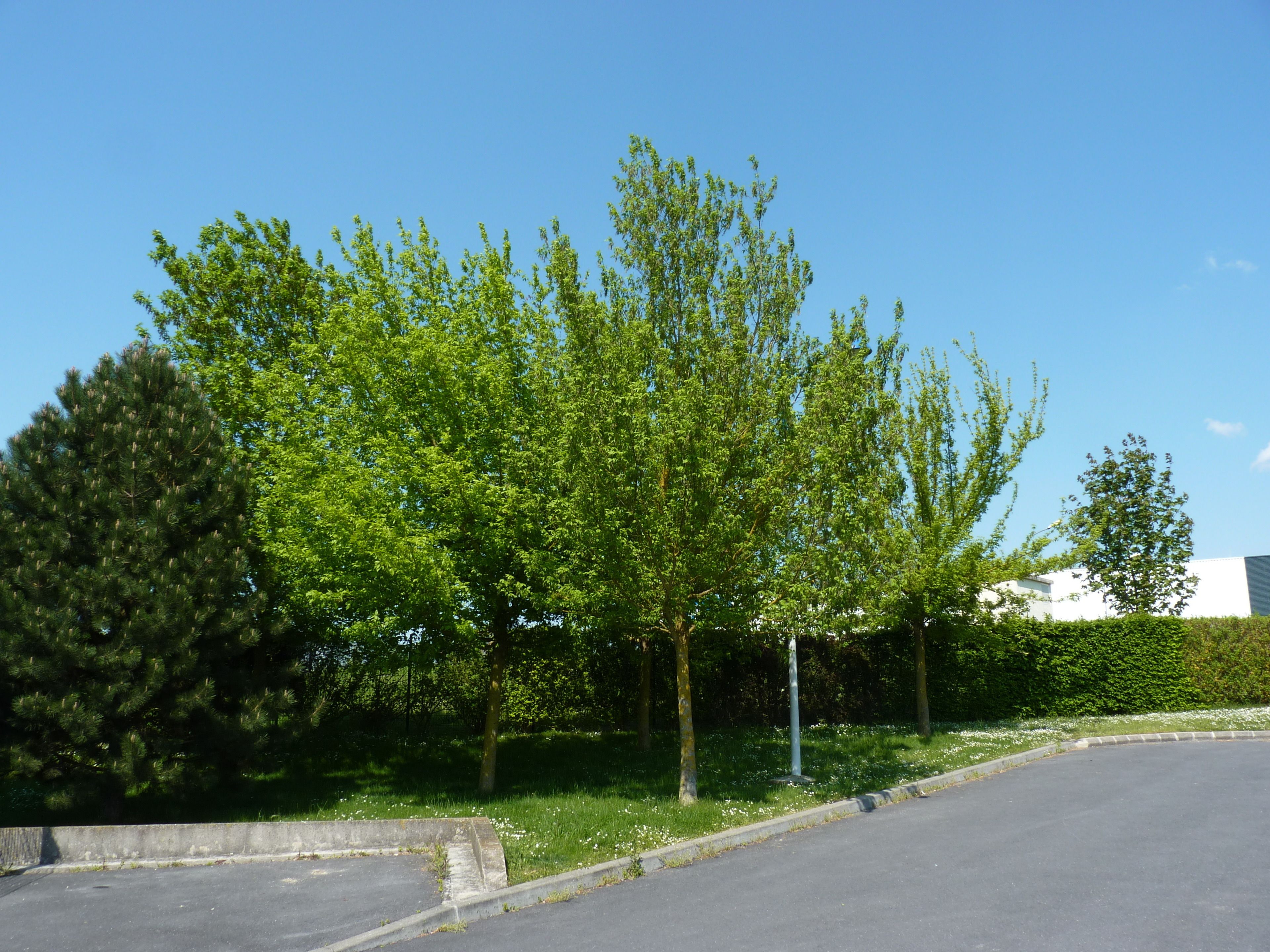B&B Hotels Châlons En Champagne B&B Hotels Châlons En Champagne