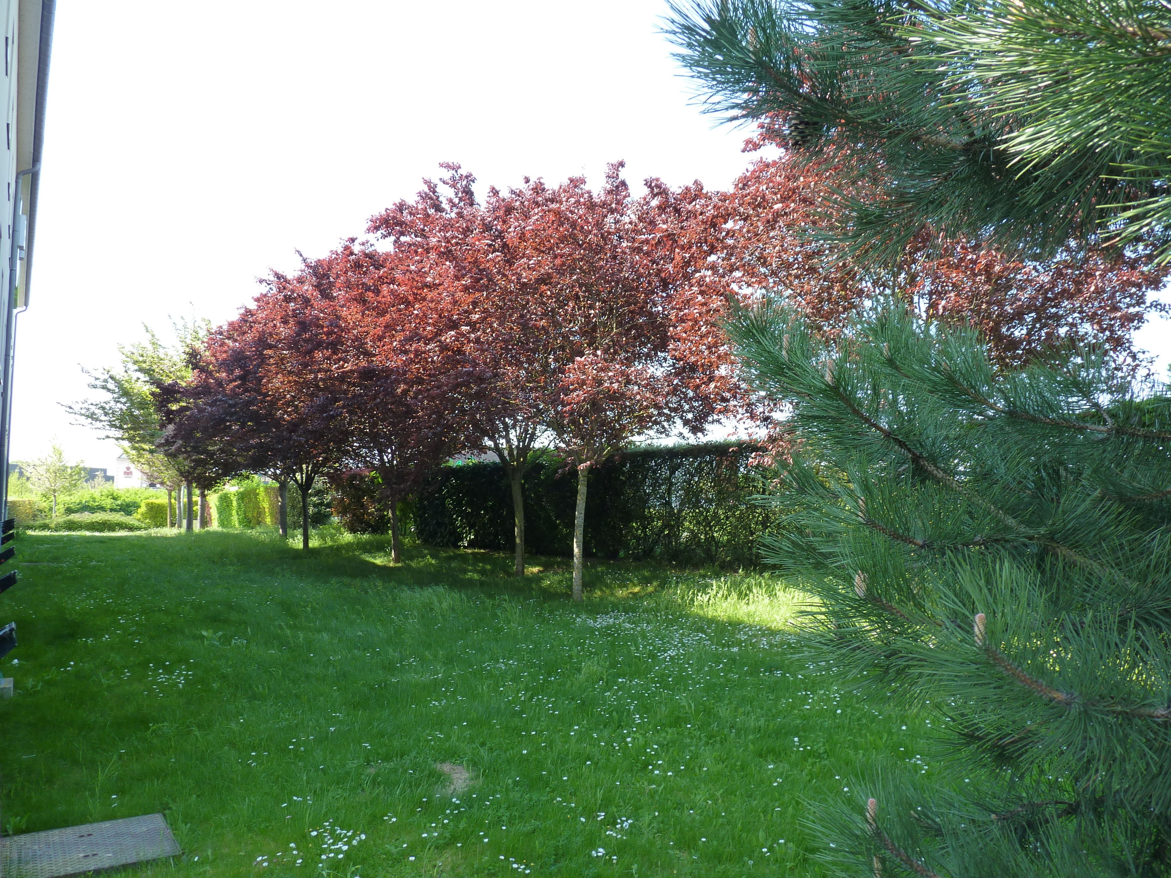 B&B Hotels Châlons En Champagne B&B Hotels Châlons En Champagne