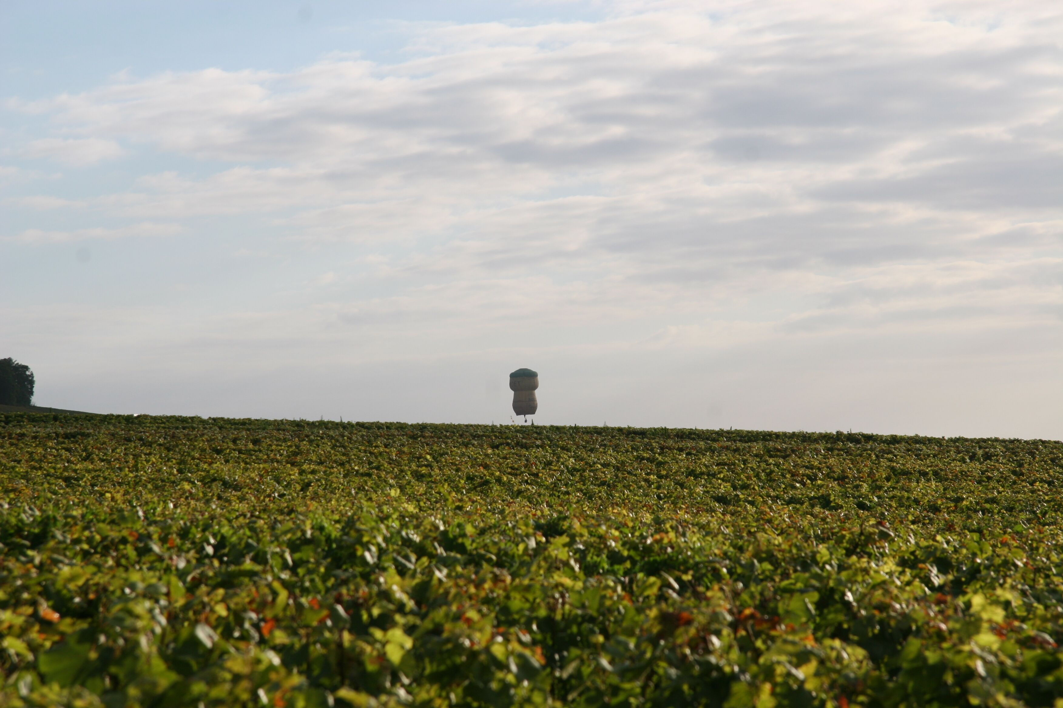 Best Western Le Relais du Vigneron Best Western Le Relais du Vigneron
