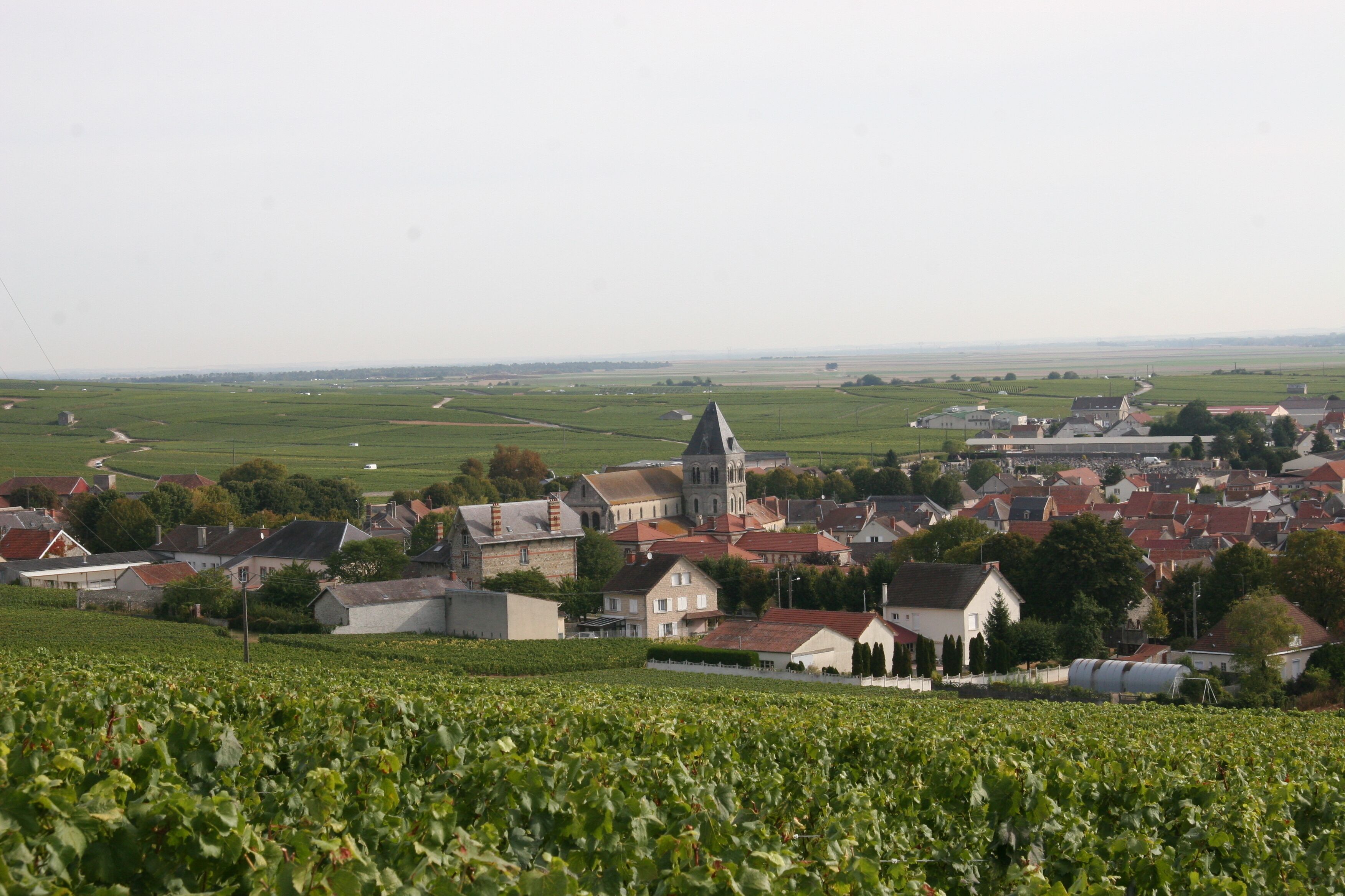 Best Western Le Relais du Vigneron Best Western Le Relais du Vigneron