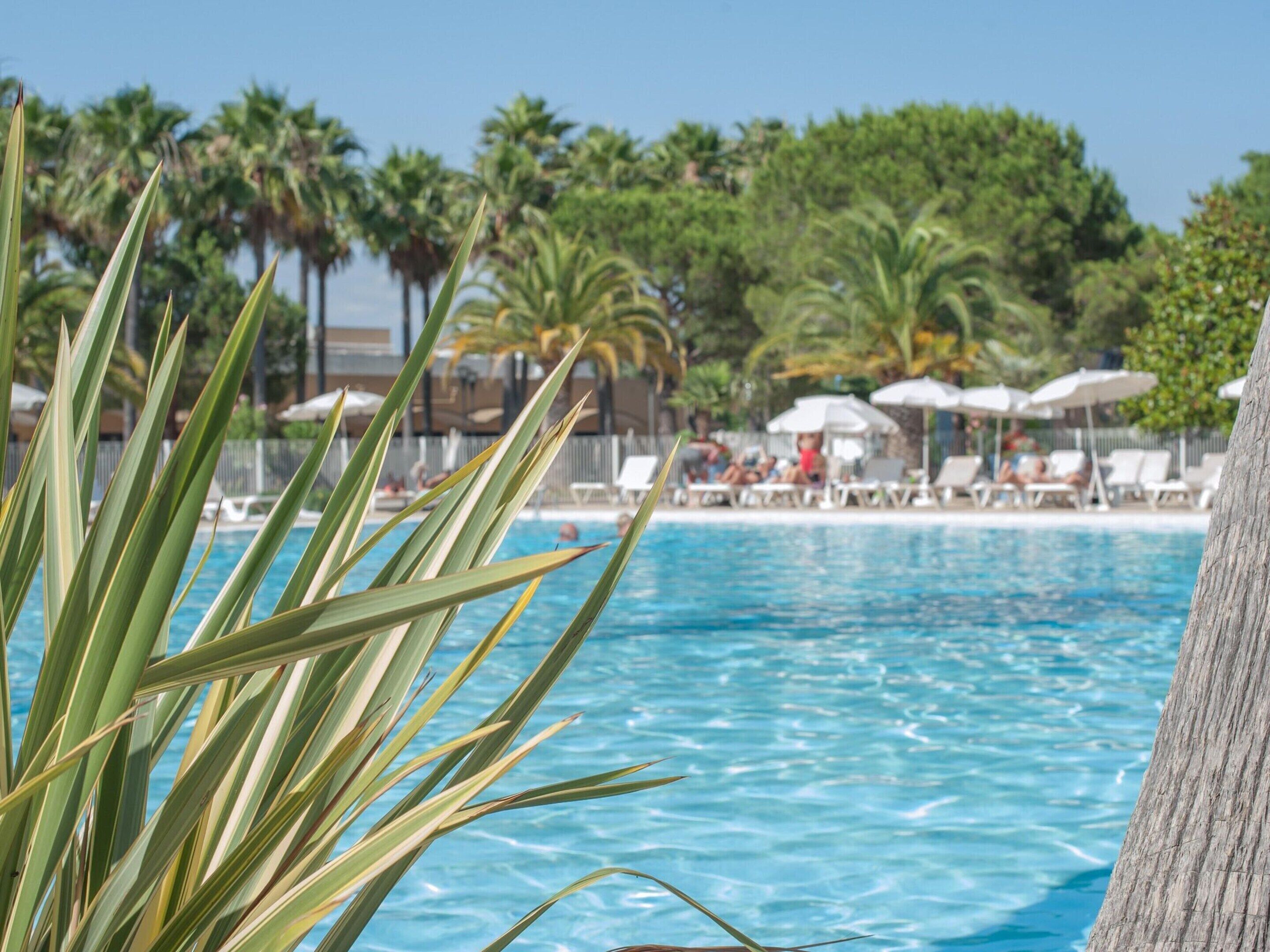 Pierre & Vacances Résidence Les Rives de Cannes Mandelieu Pierre & Vacances Résidence Les Rives de Cannes Mandelieu