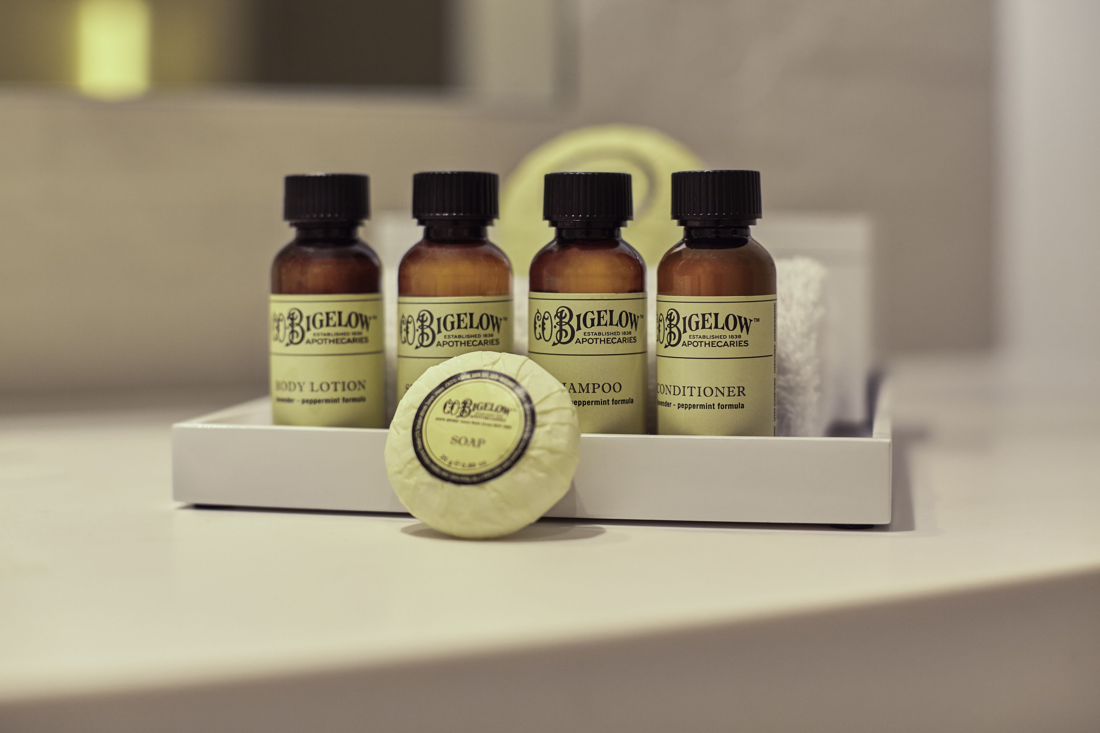 Radisson Blu CDG Airport Terminal Hotel, Paris