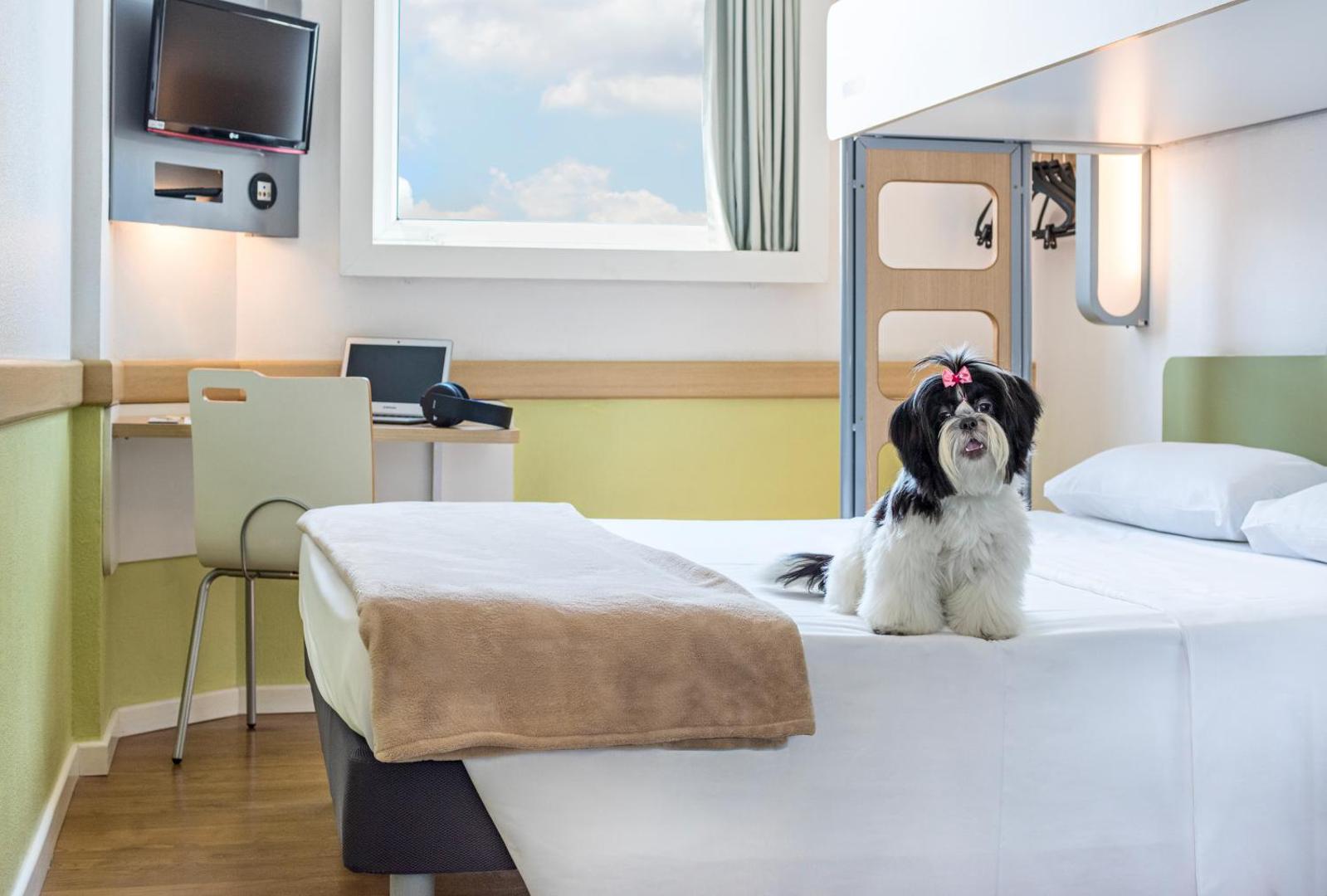 ibis budget Tours nord ibis budget Tours nord