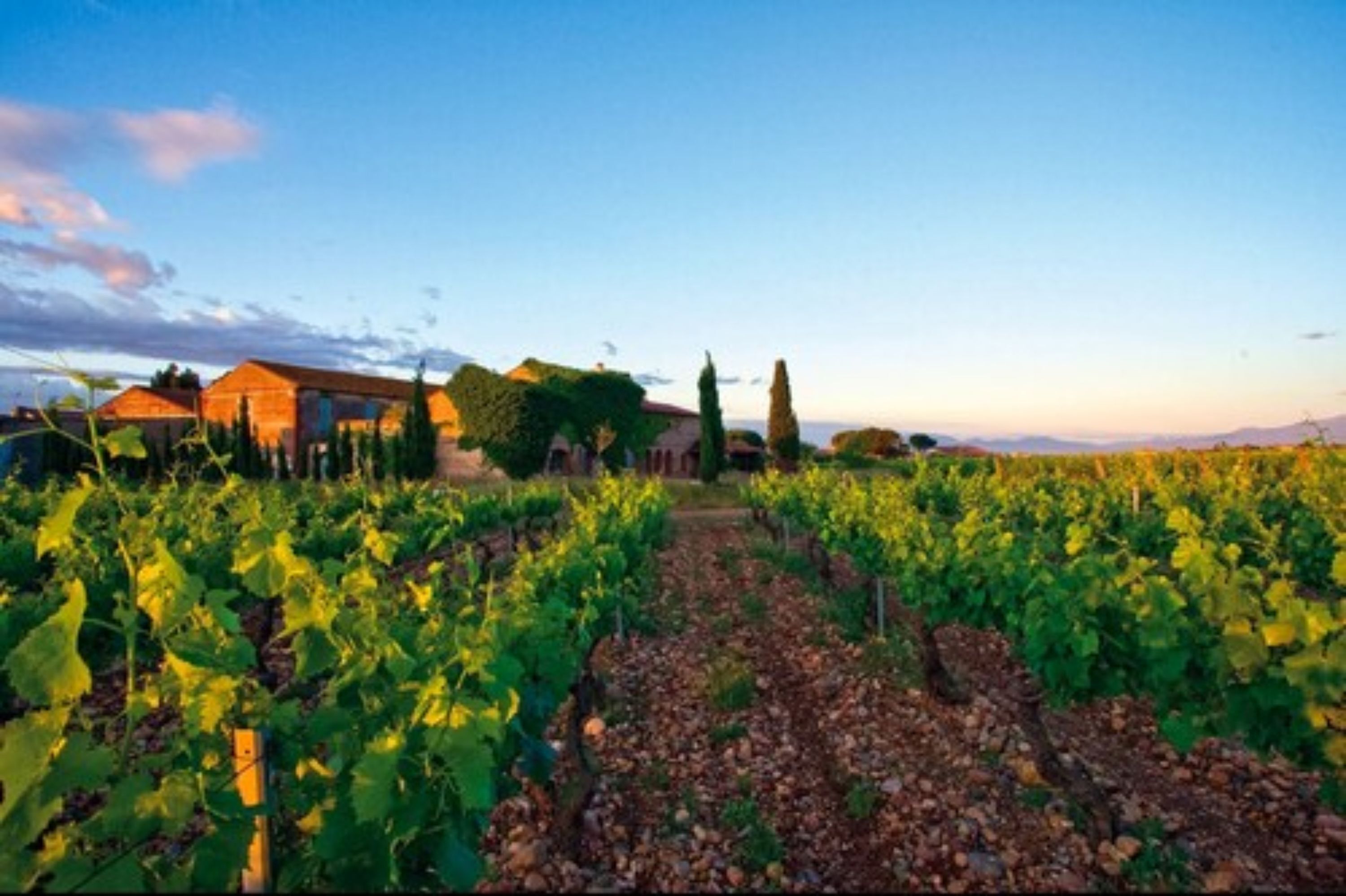 ibis Styles Perpignan Canet En Roussillon ibis Styles Perpignan Canet En Roussillon