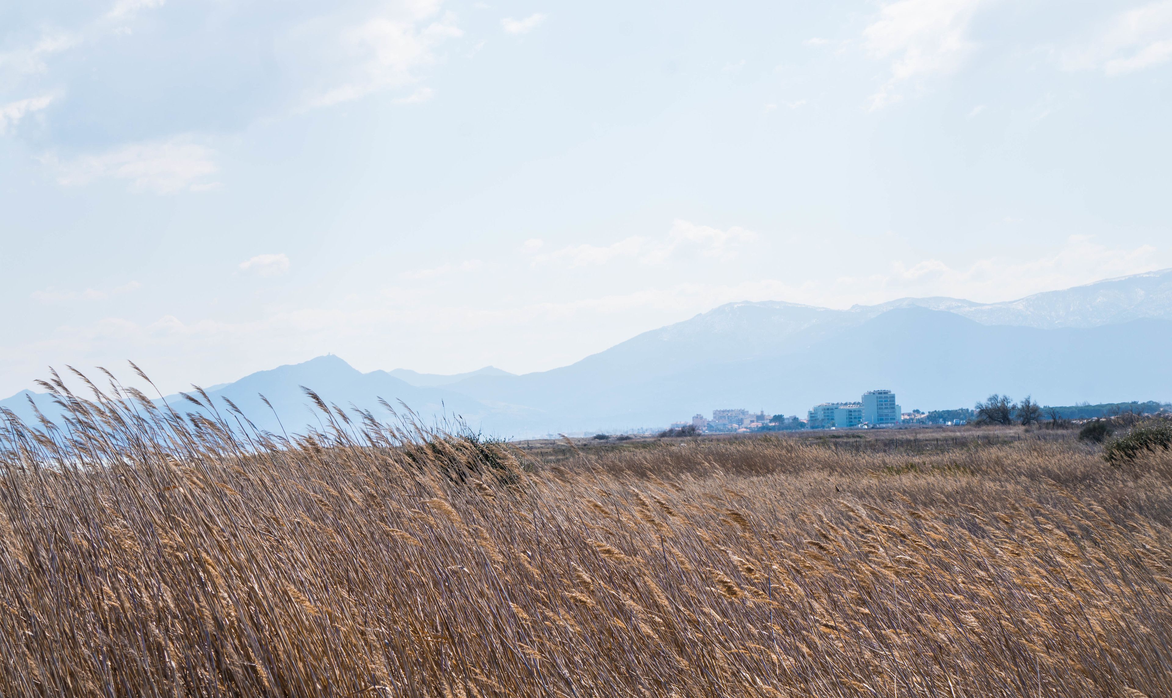 ibis Styles Perpignan Canet En Roussillon ibis Styles Perpignan Canet En Roussillon