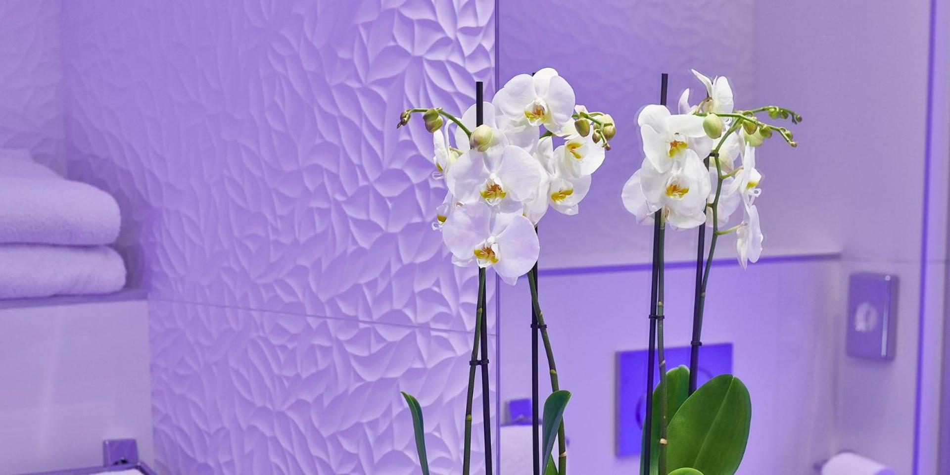 Best Western Plus Hotel Carlton