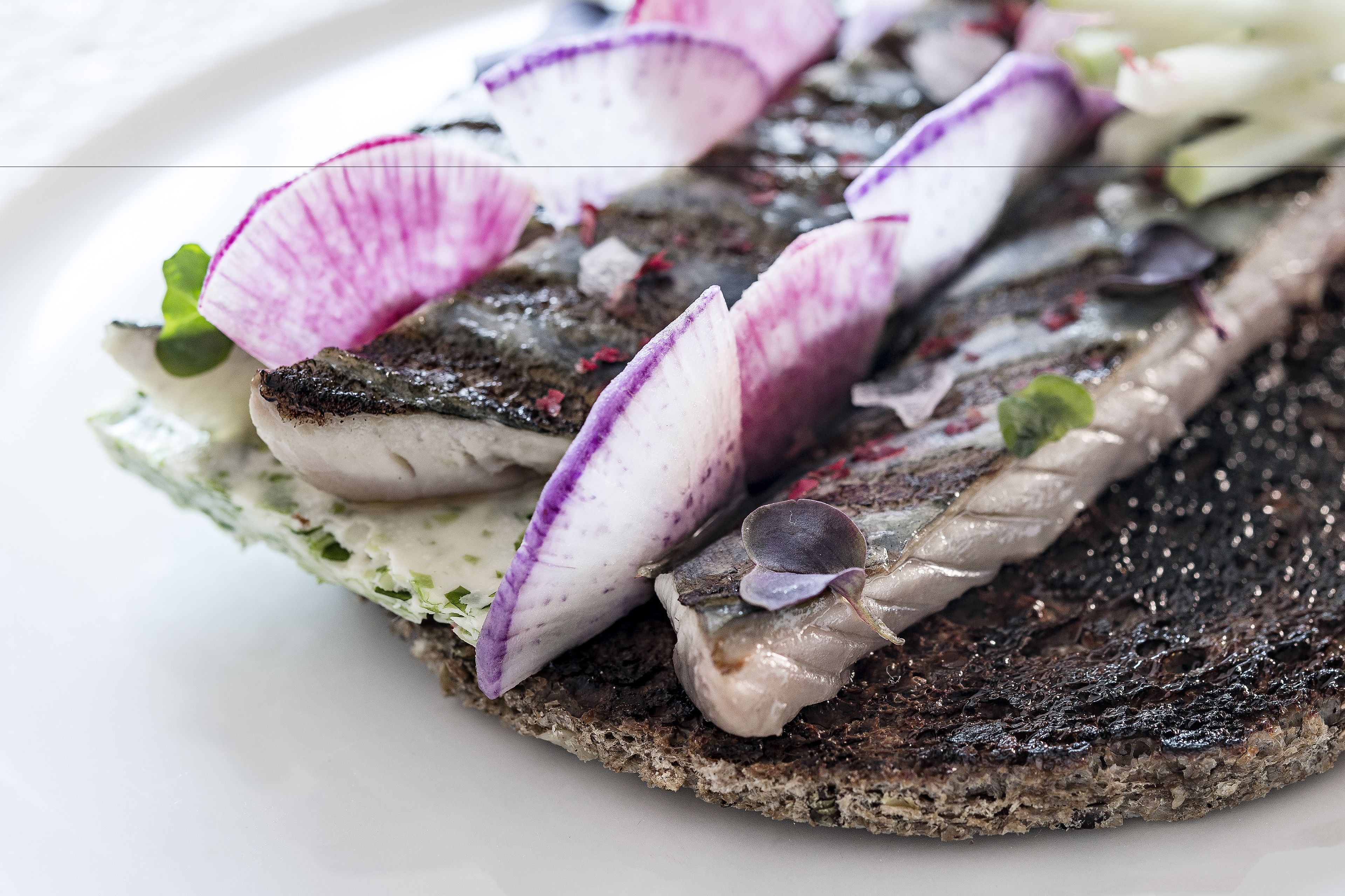 Morgane Hotel Chamonix Morgane Hotel Chamonix