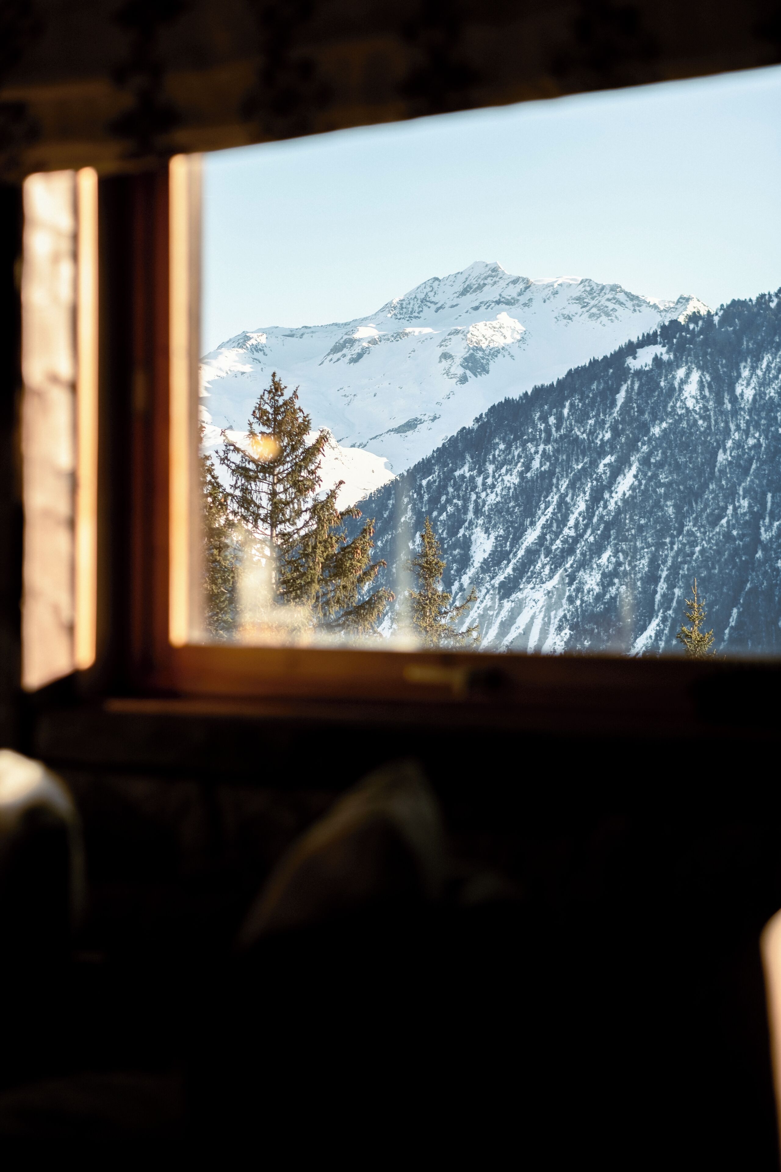 Alpes Hôtel du Pralong Alpes Hôtel du Pralong