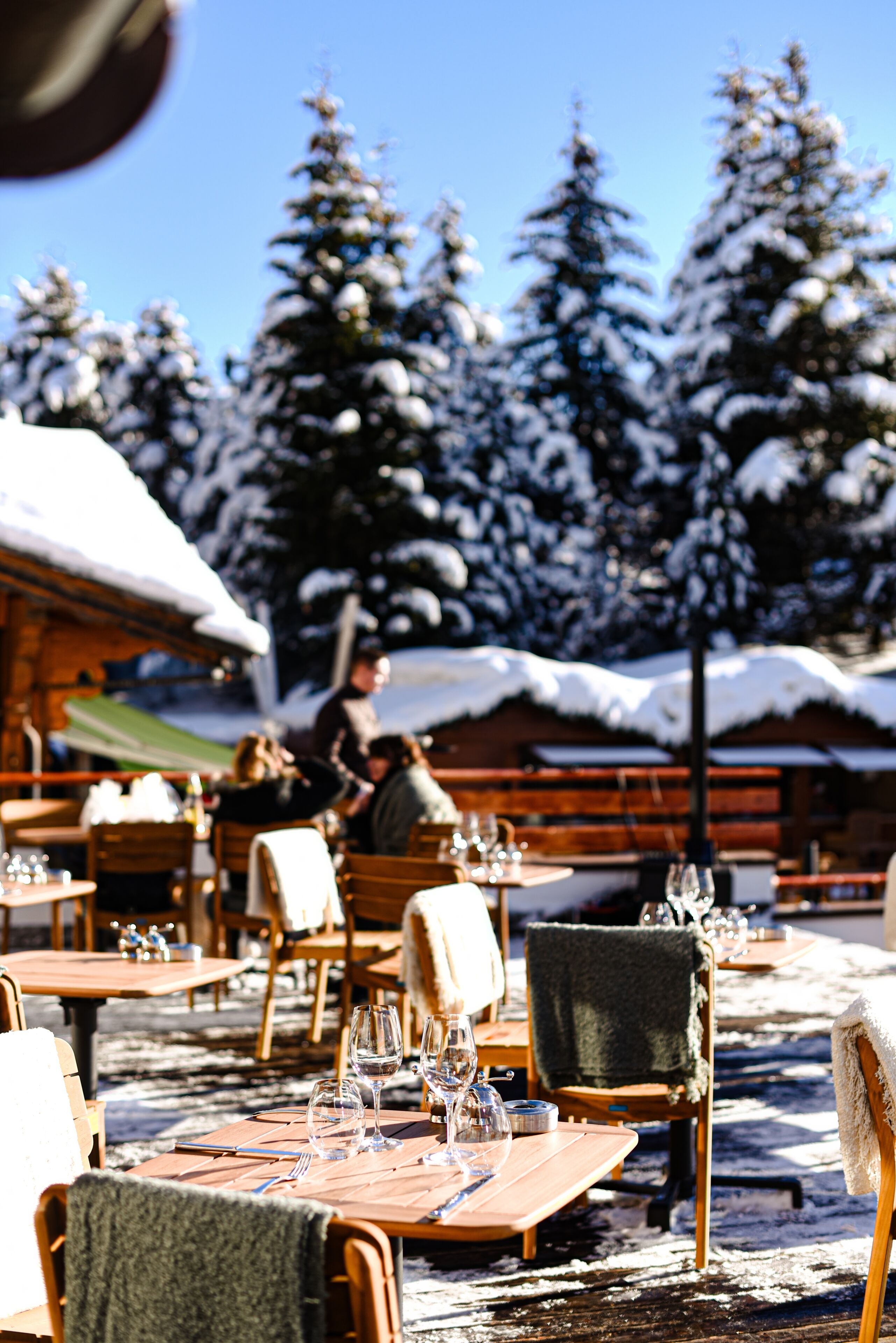 Alpes Hôtel du Pralong Alpes Hôtel du Pralong