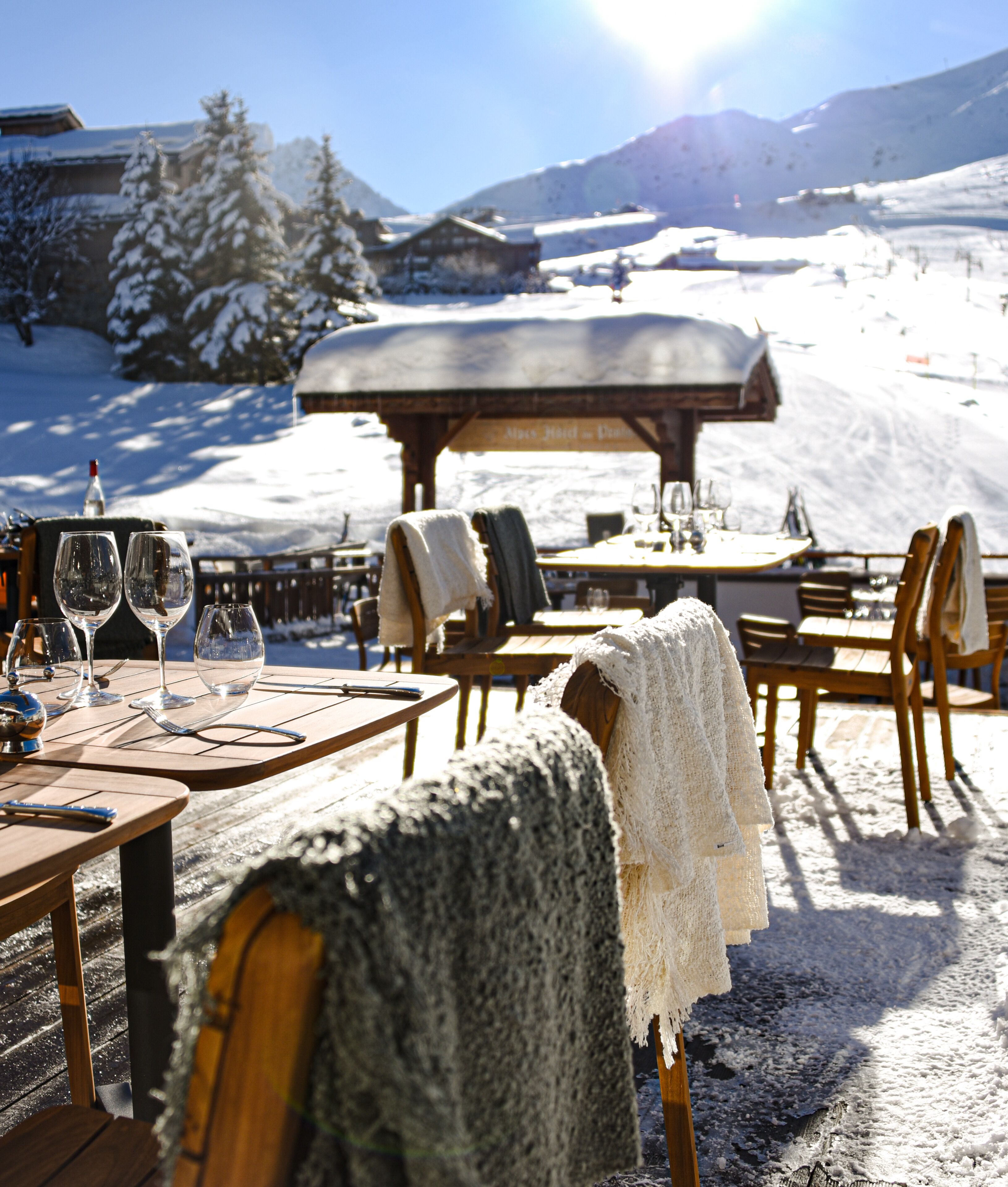 Alpes Hôtel du Pralong Alpes Hôtel du Pralong