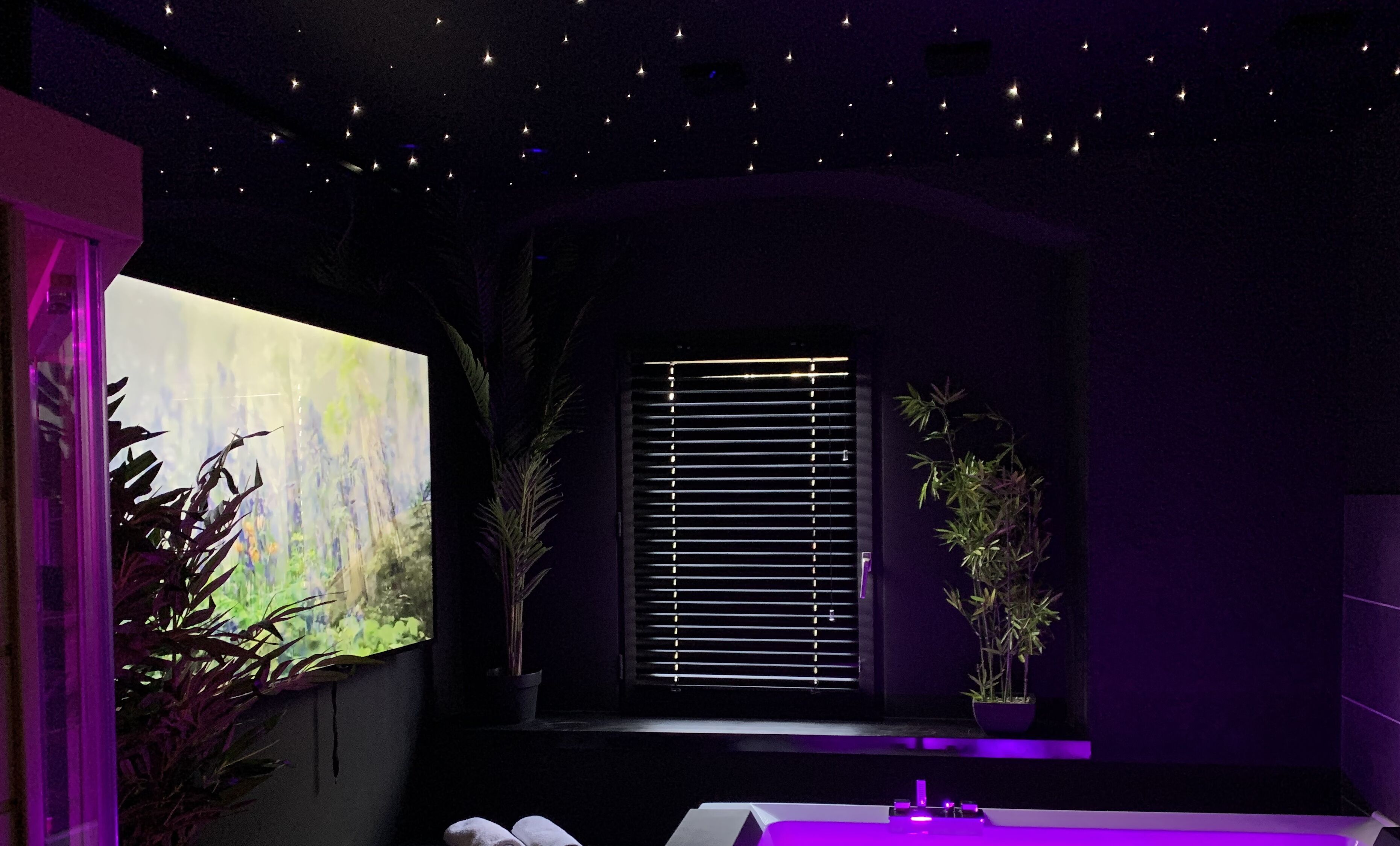 Sure Hotel by Best Western Annecy