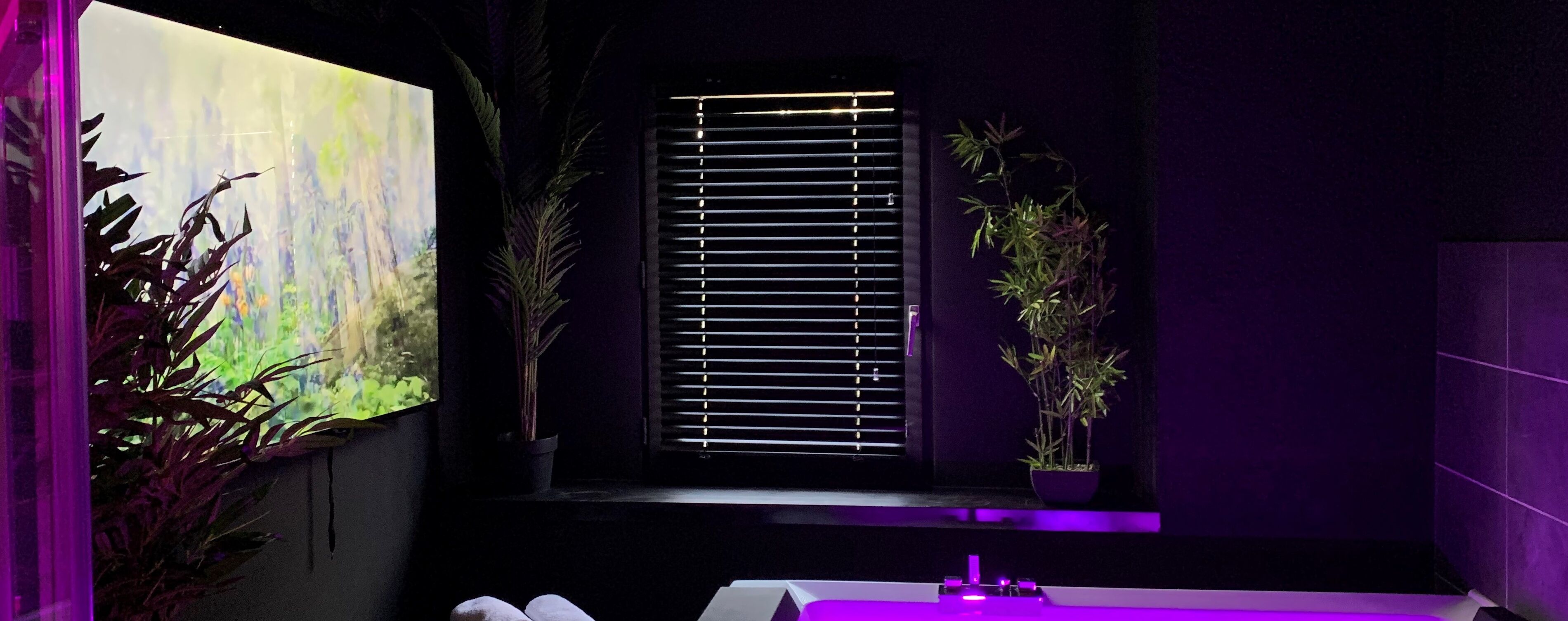 Sure Hotel by Best Western Annecy