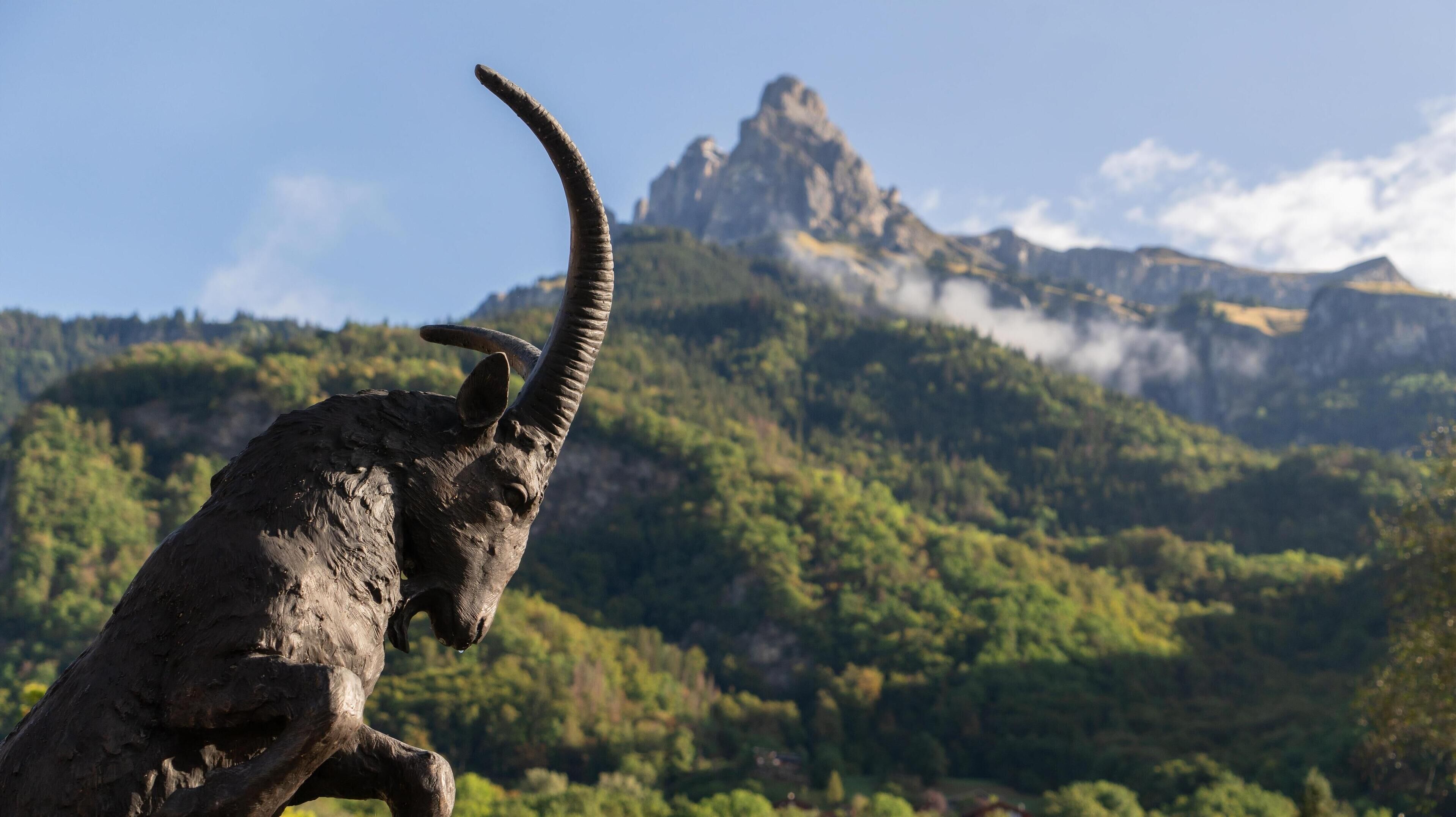 Best Western Plus Pays du Mont Blanc Best Western Plus Pays du Mont Blanc