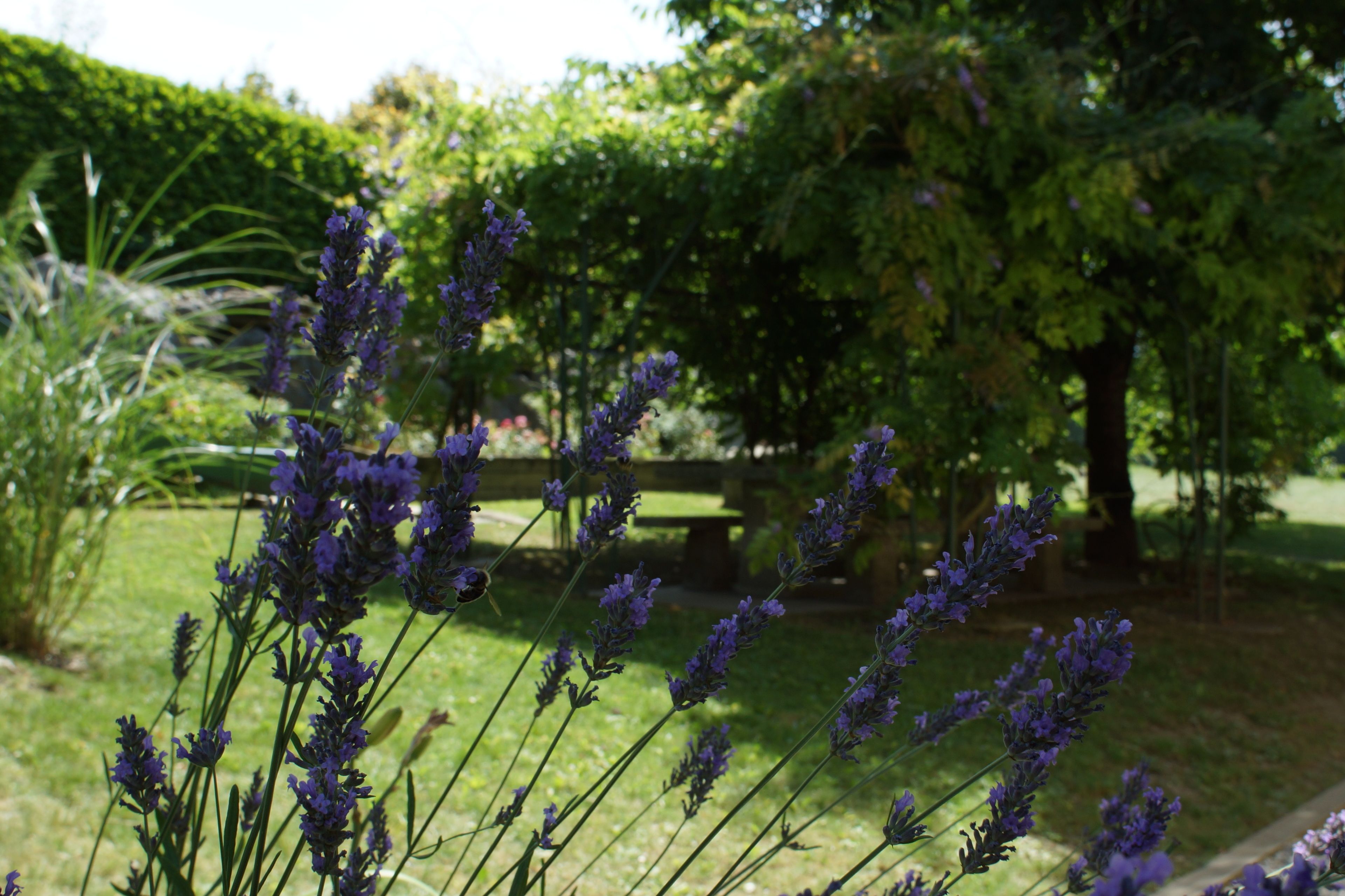 Best Western Plus Pays du Mont Blanc Best Western Plus Pays du Mont Blanc