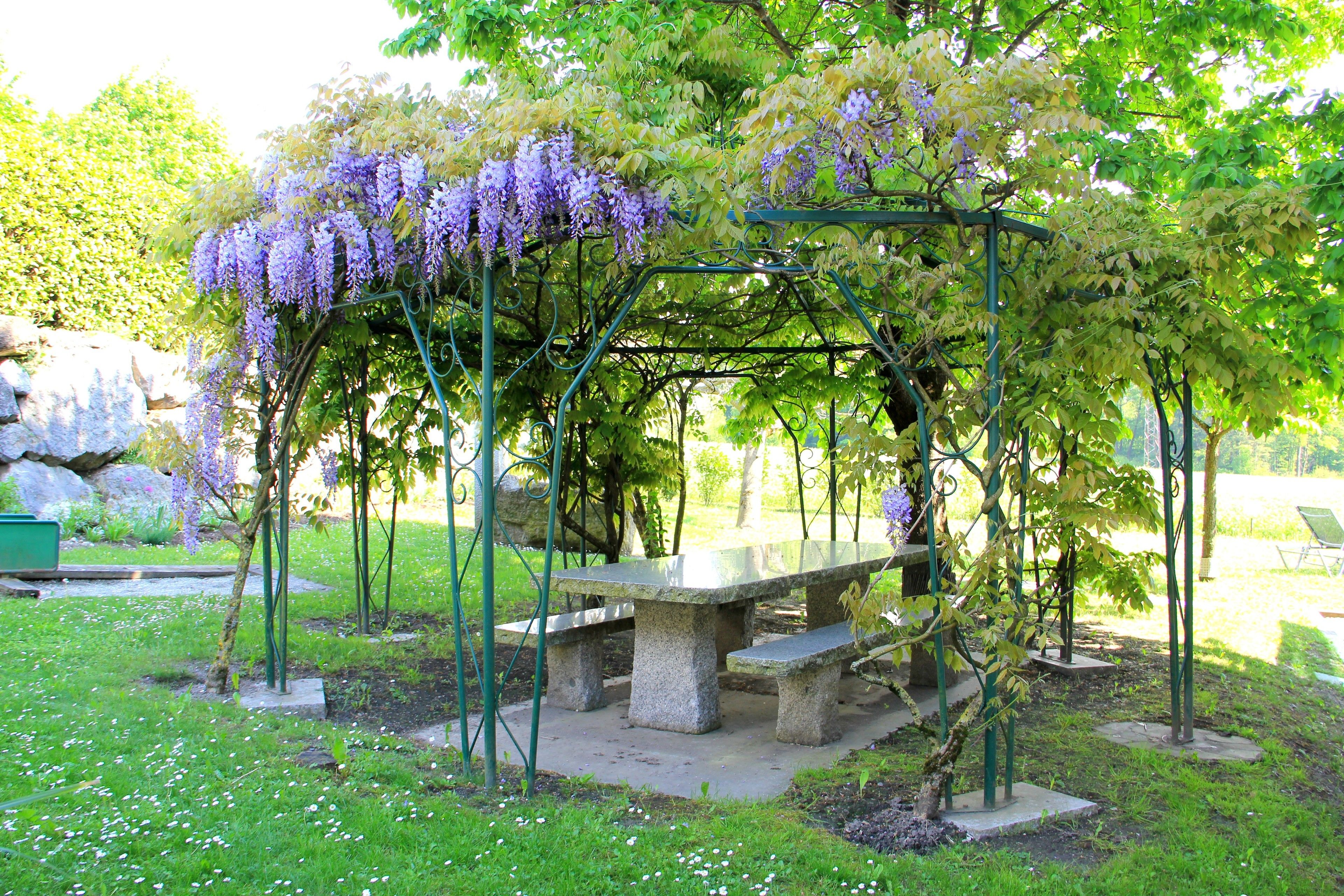 Best Western Plus Pays du Mont Blanc Best Western Plus Pays du Mont Blanc