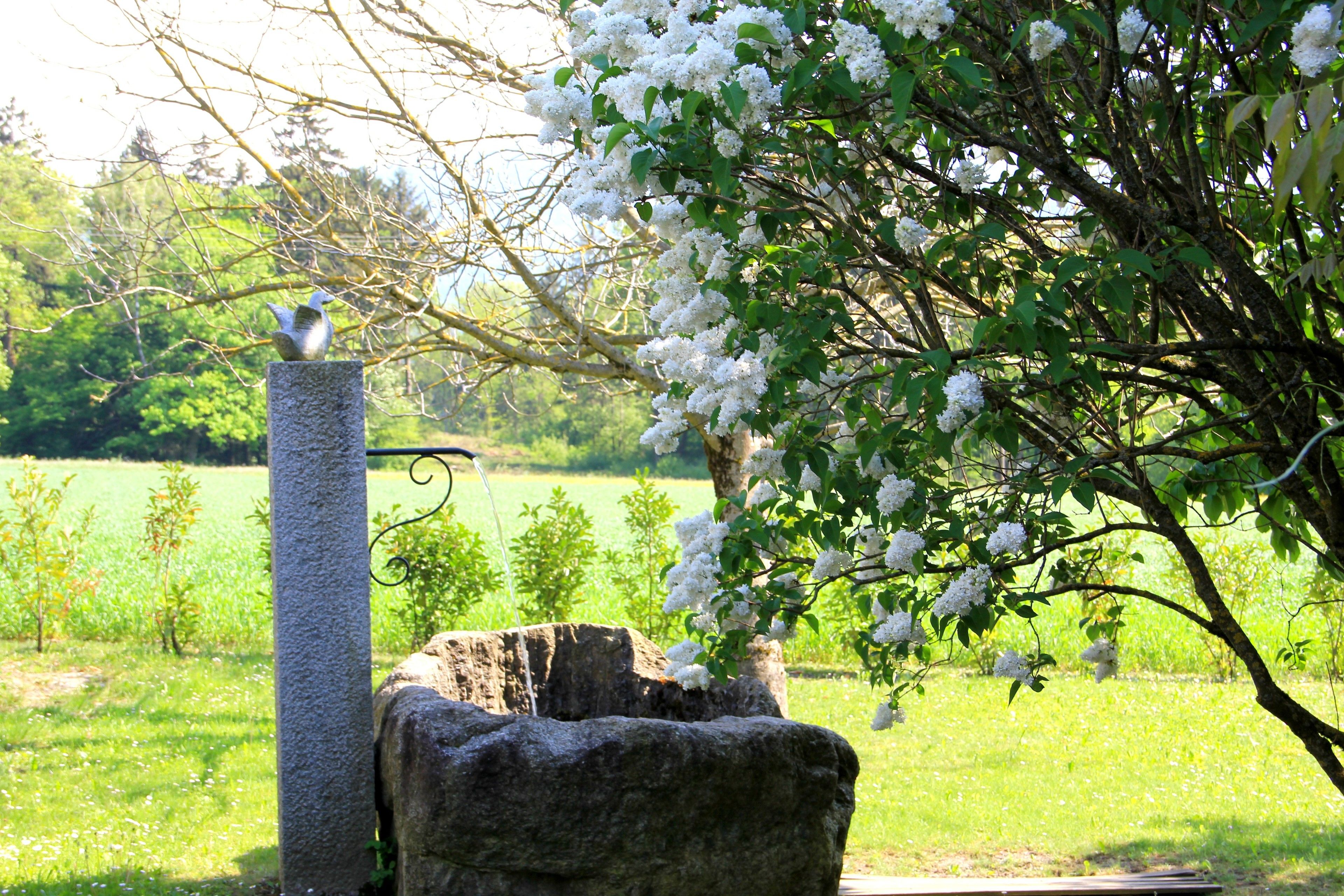 Best Western Plus Pays du Mont Blanc Best Western Plus Pays du Mont Blanc