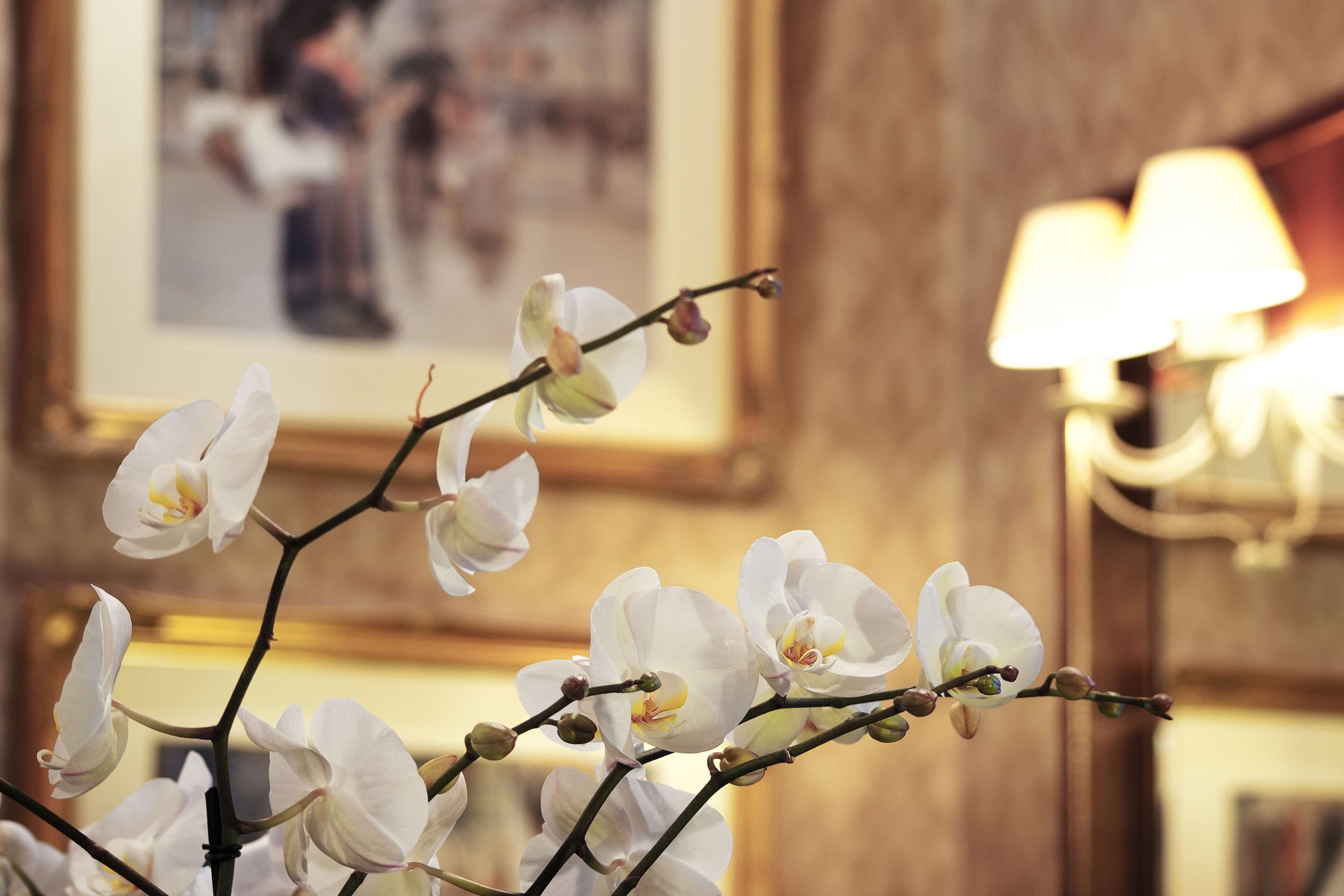 Berjaya Eden Park London Hotel Berjaya Eden Park London Hotel