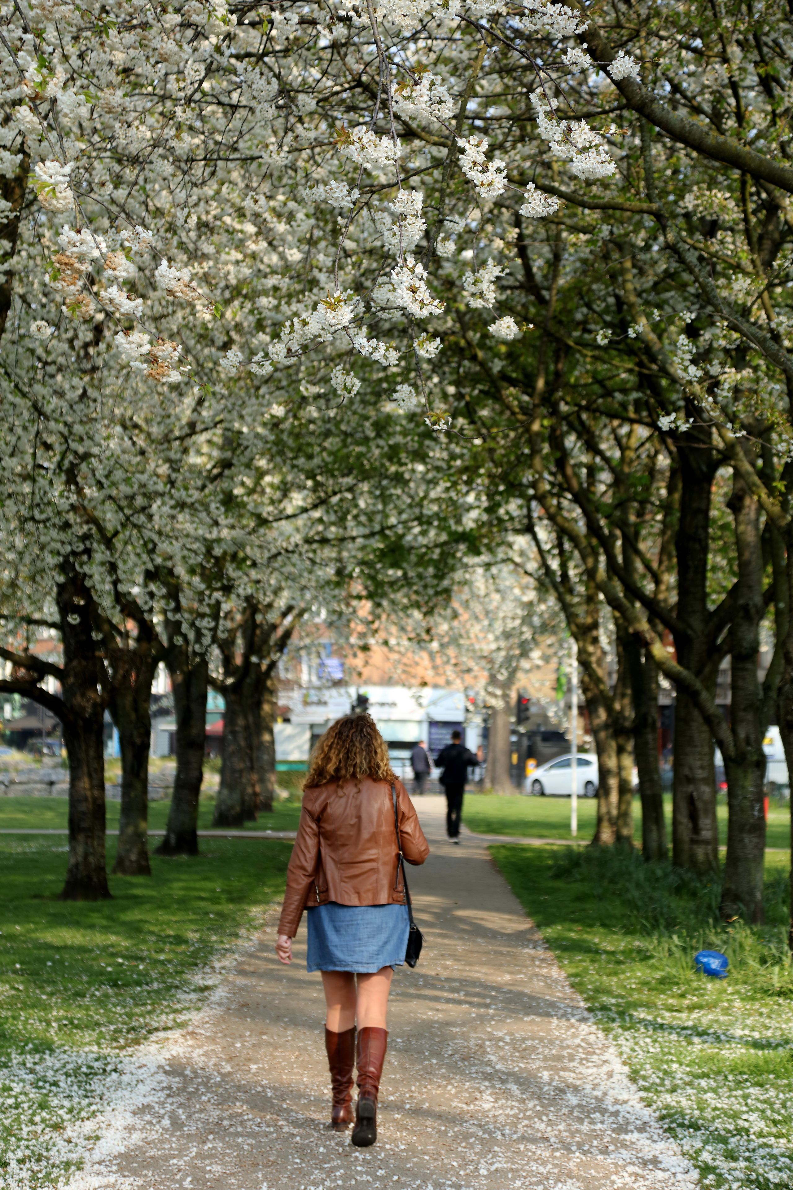 Best Western Chiswick Palace & Suites Best Western Chiswick Palace & Suites
