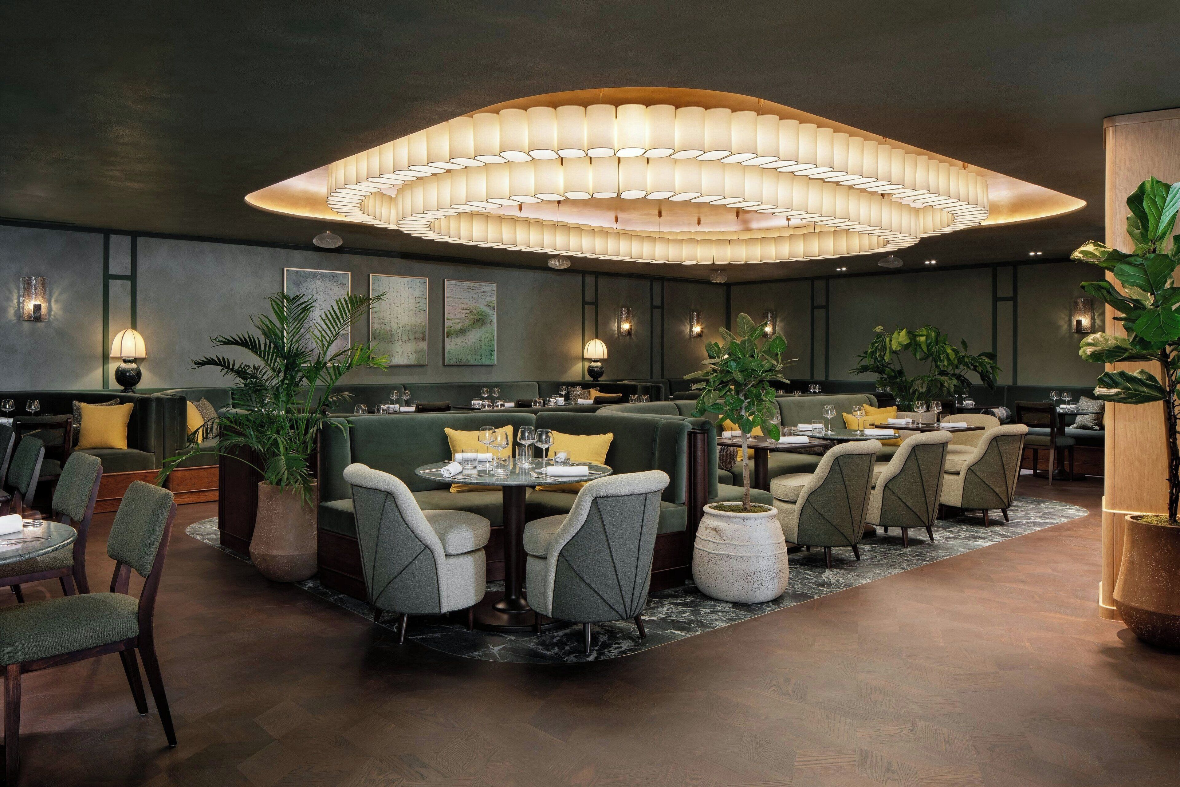 Montcalm Mayfair Autograph Collection Montcalm Mayfair Autograph Collection