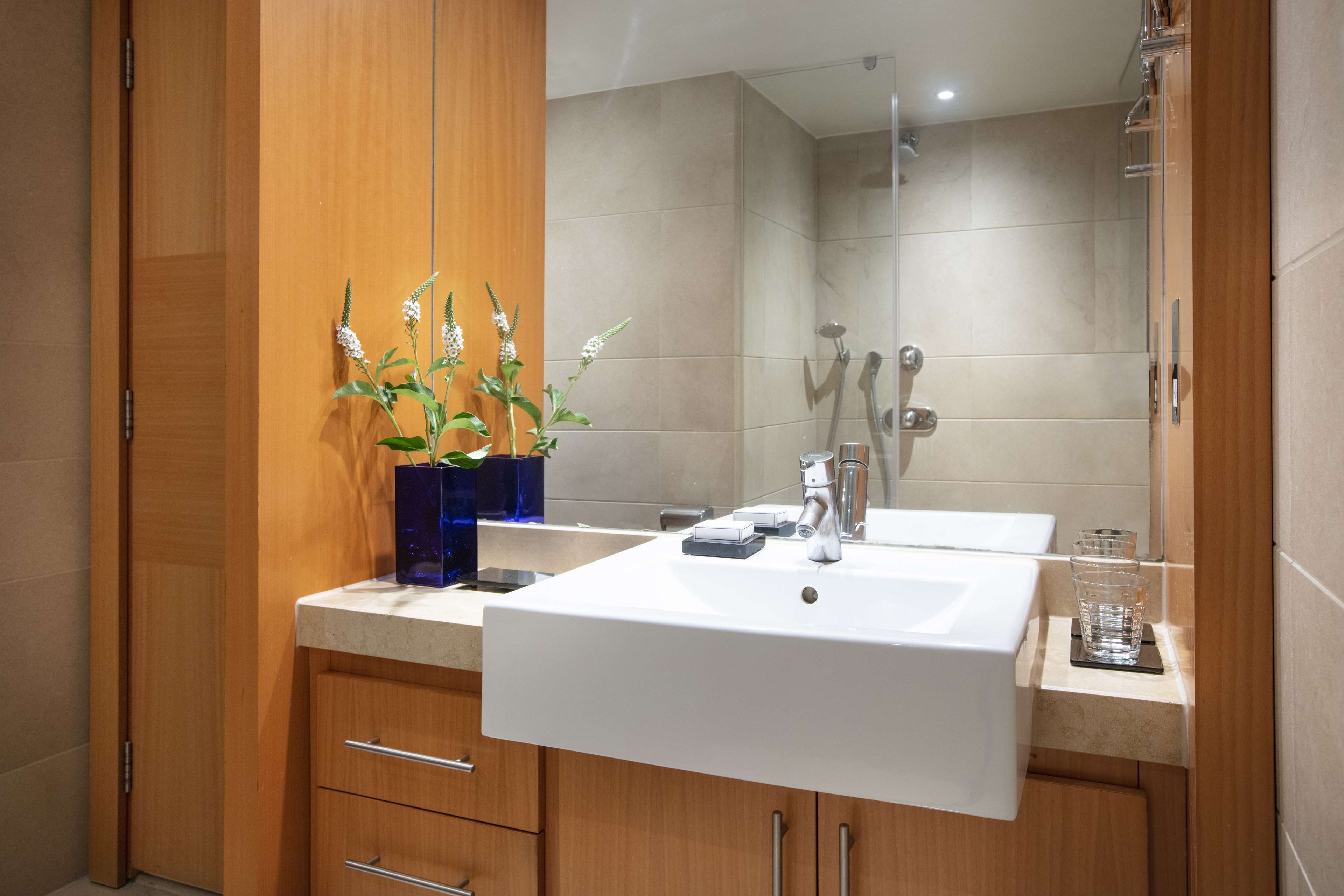 Park Plaza London Riverbank