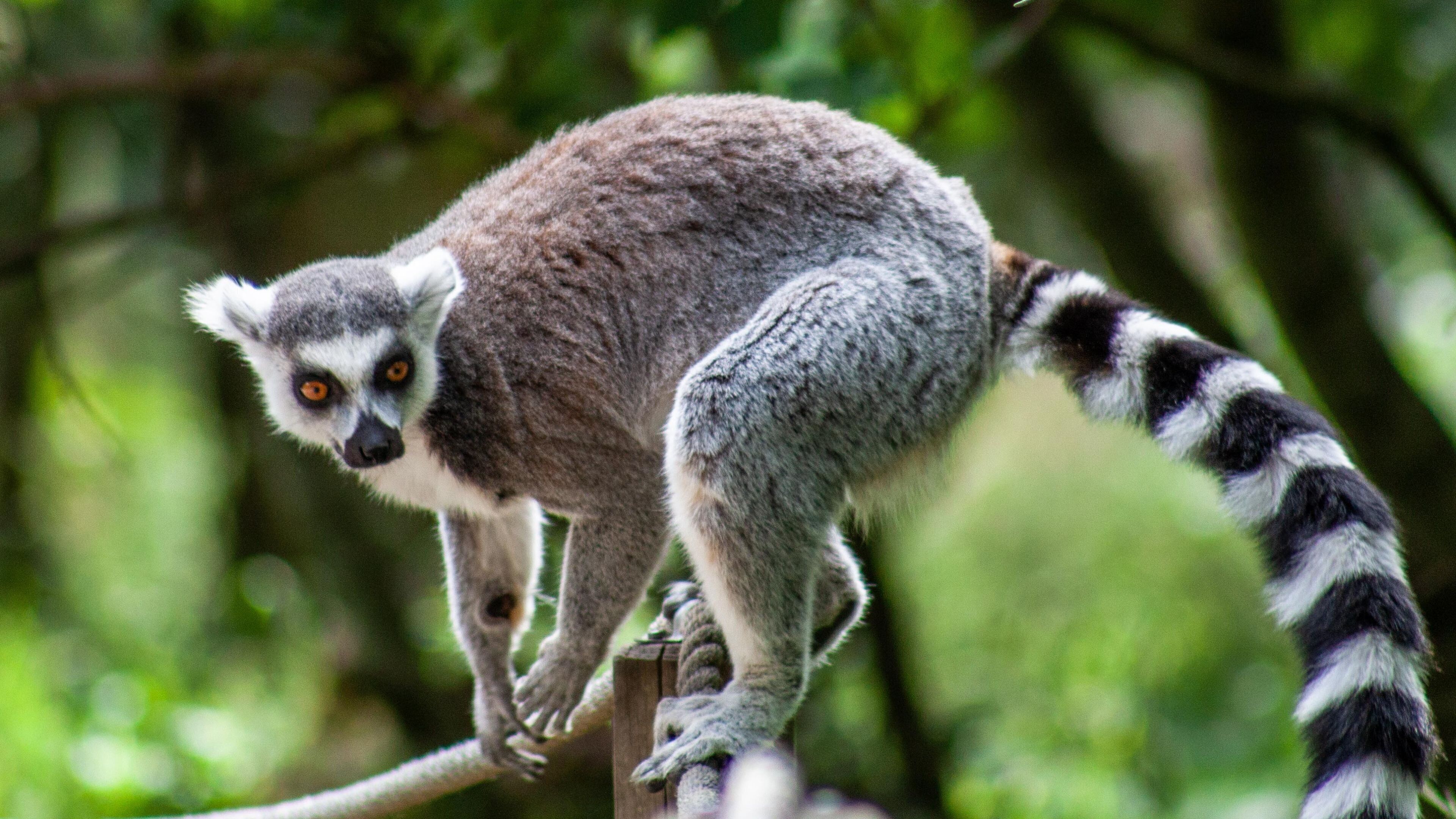 Holiday Inn Reading  West