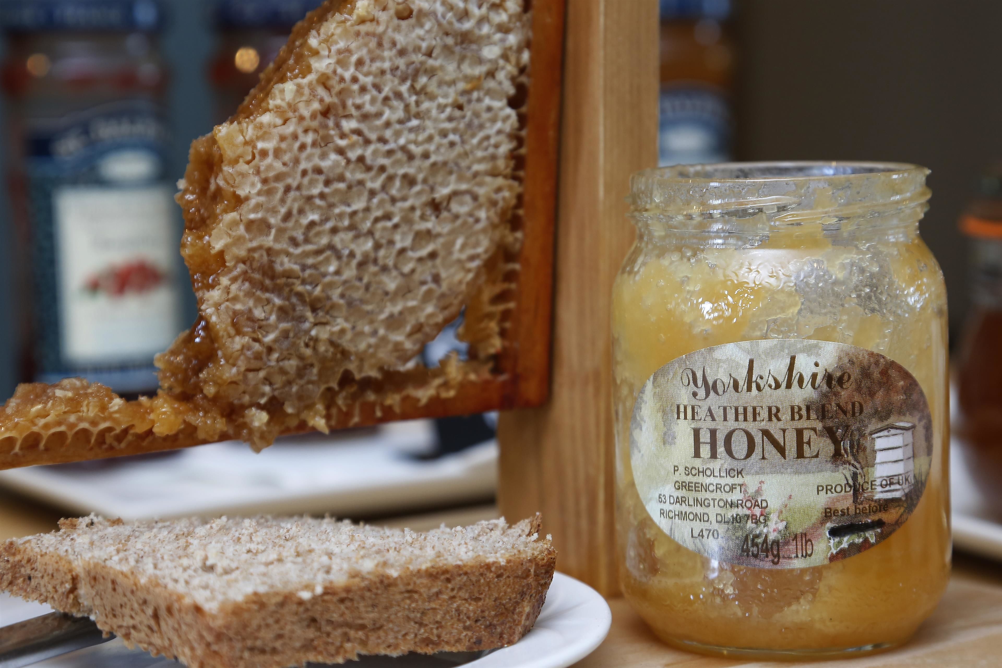 Best Western Plus Milford Hotel Best Western Plus Milford Hotel