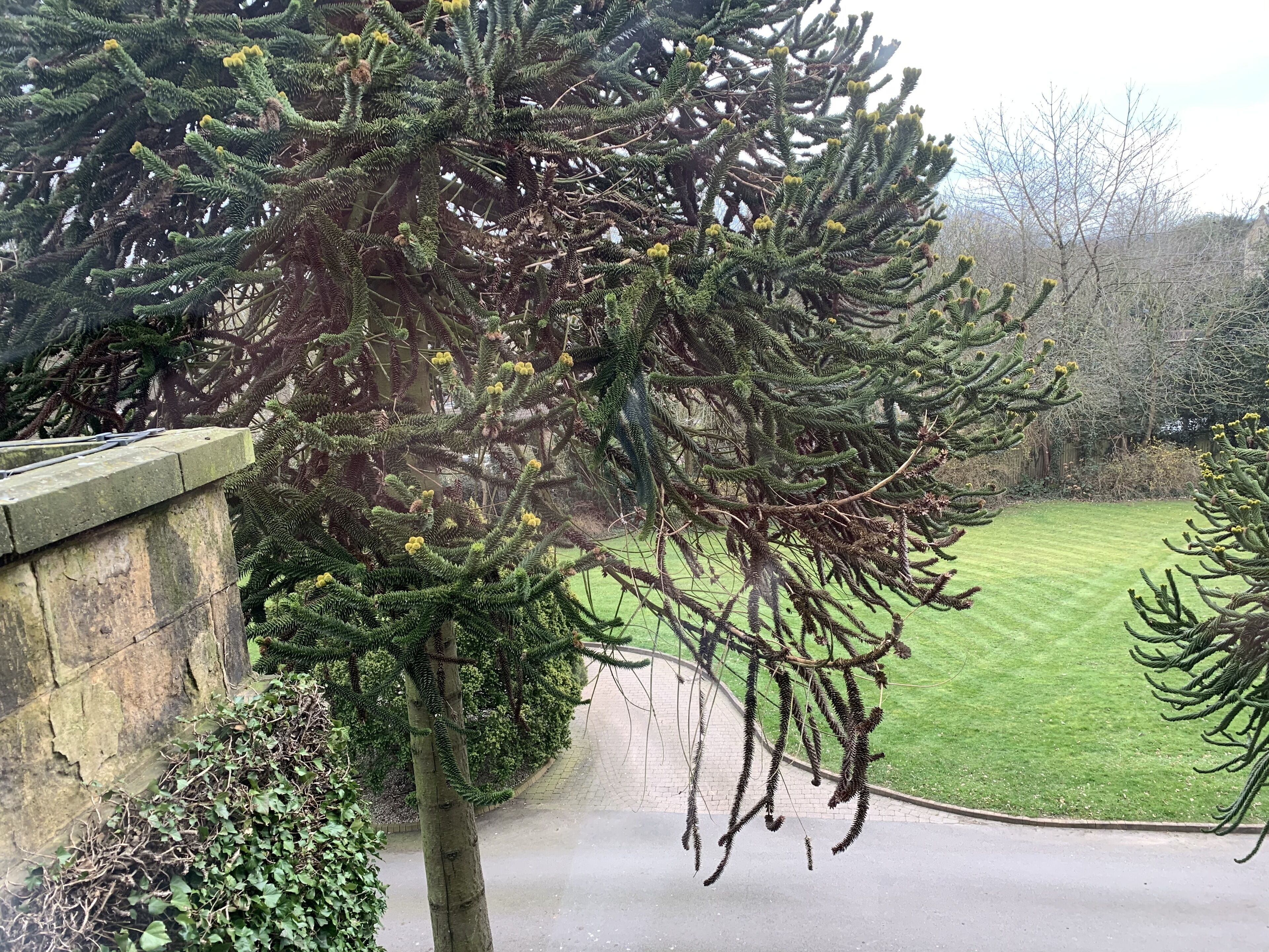 Mosborough Hall Hotel, BW Signature Collection by Best Western