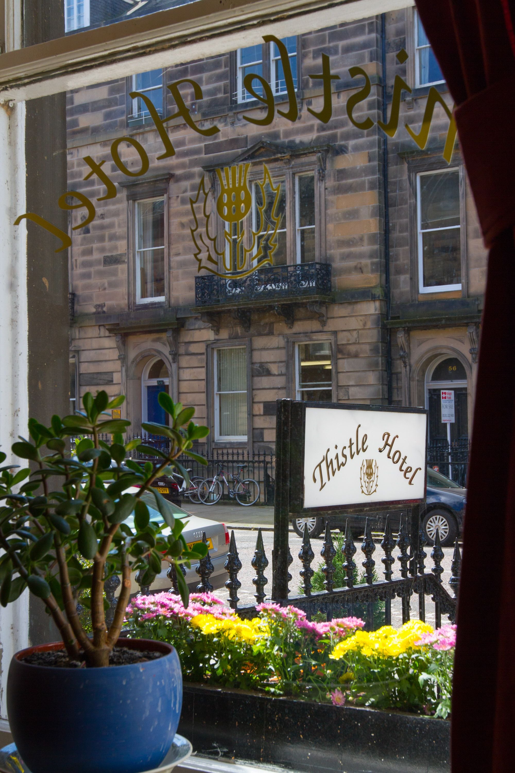Thistle The Original Edinburgh Thistle The Original Edinburgh