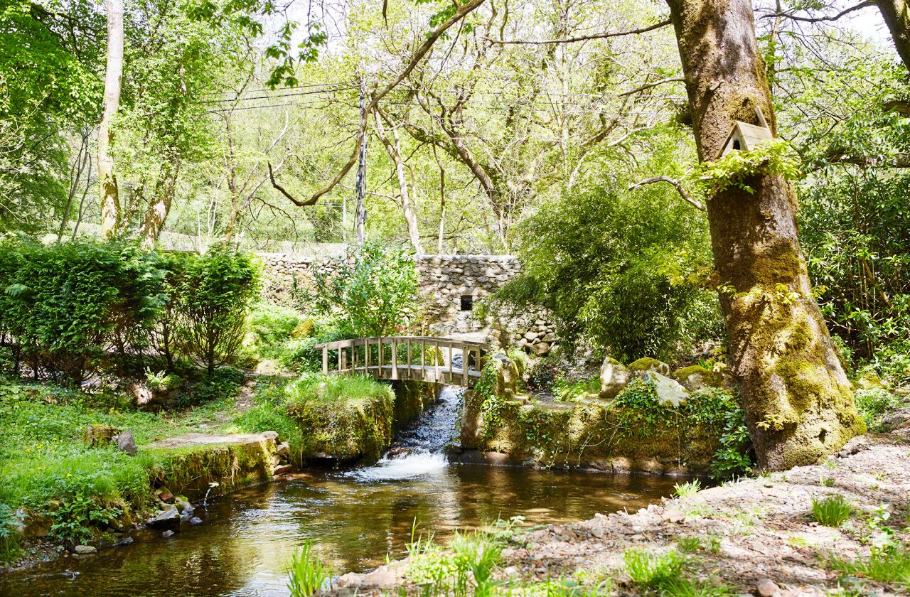 Afon Rhaiadr Country House Afon Rhaiadr Country House