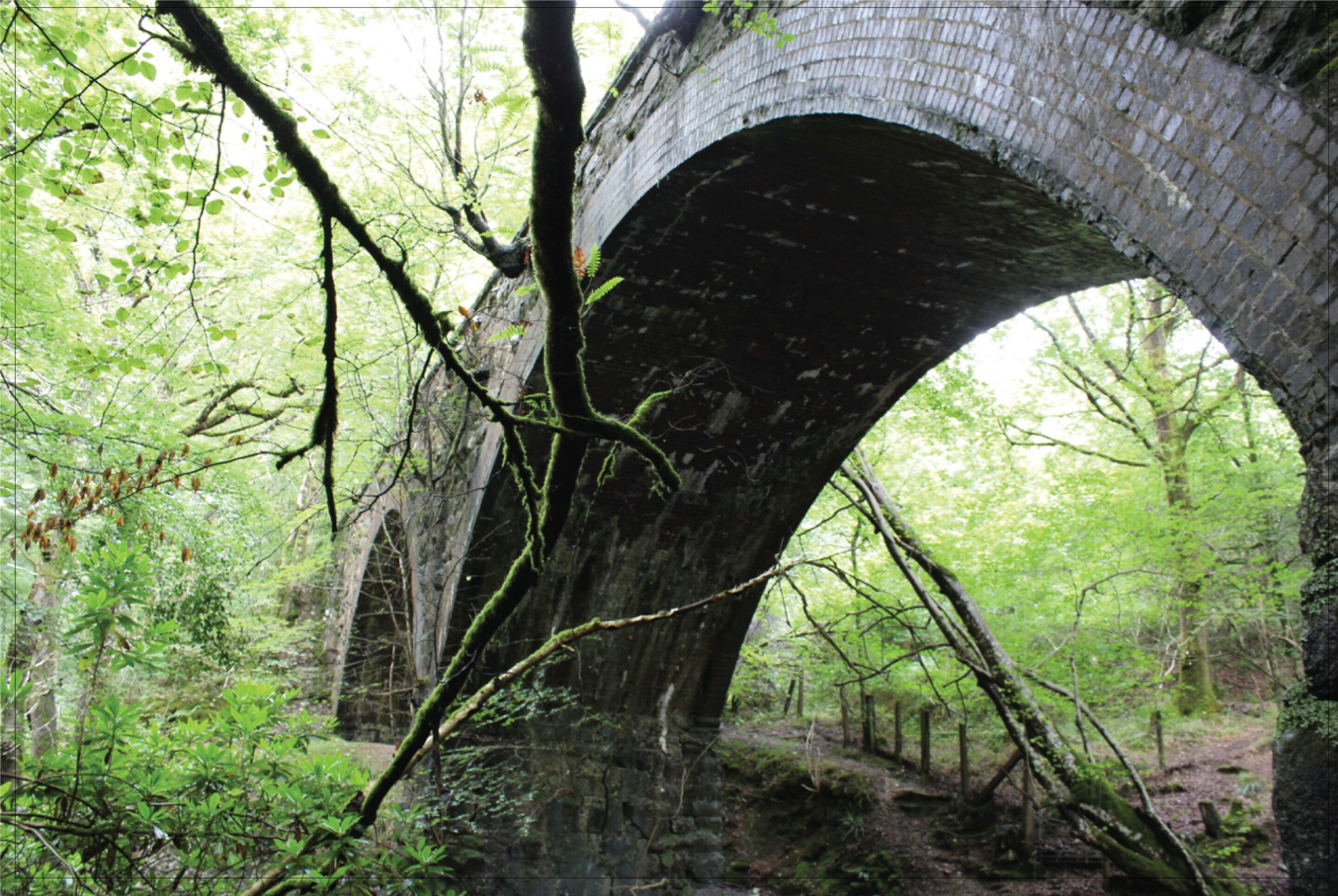 Afon Rhaiadr Country House Afon Rhaiadr Country House