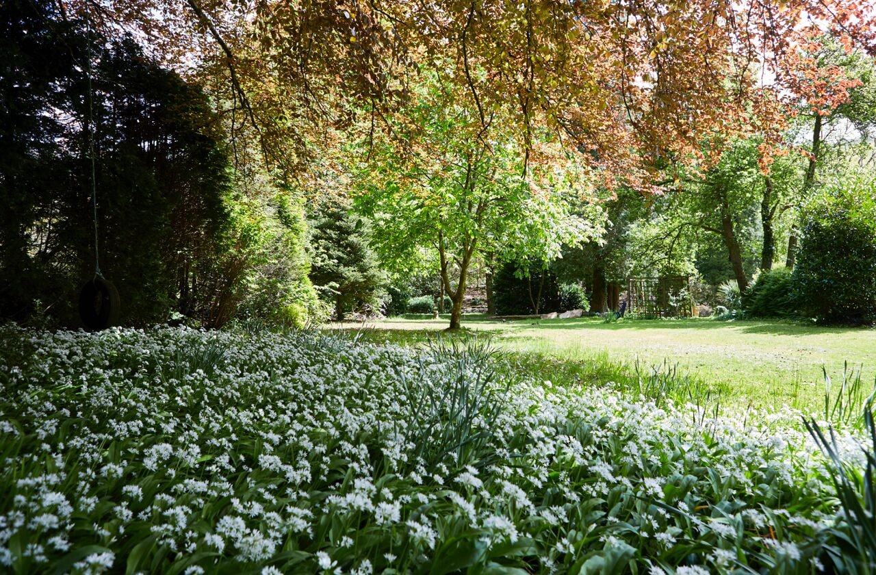 Afon Rhaiadr Country House Afon Rhaiadr Country House