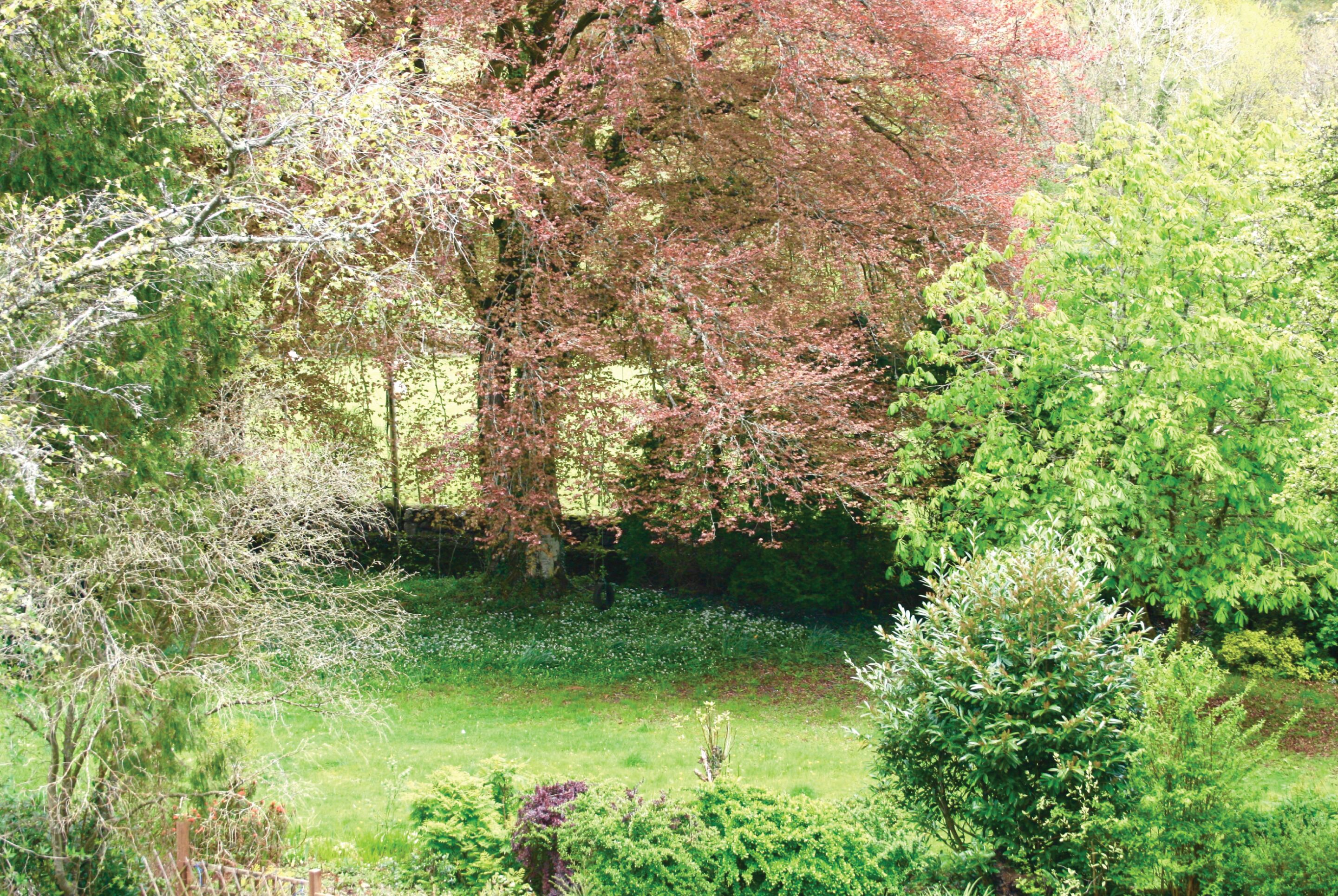 Afon Rhaiadr Country House Afon Rhaiadr Country House