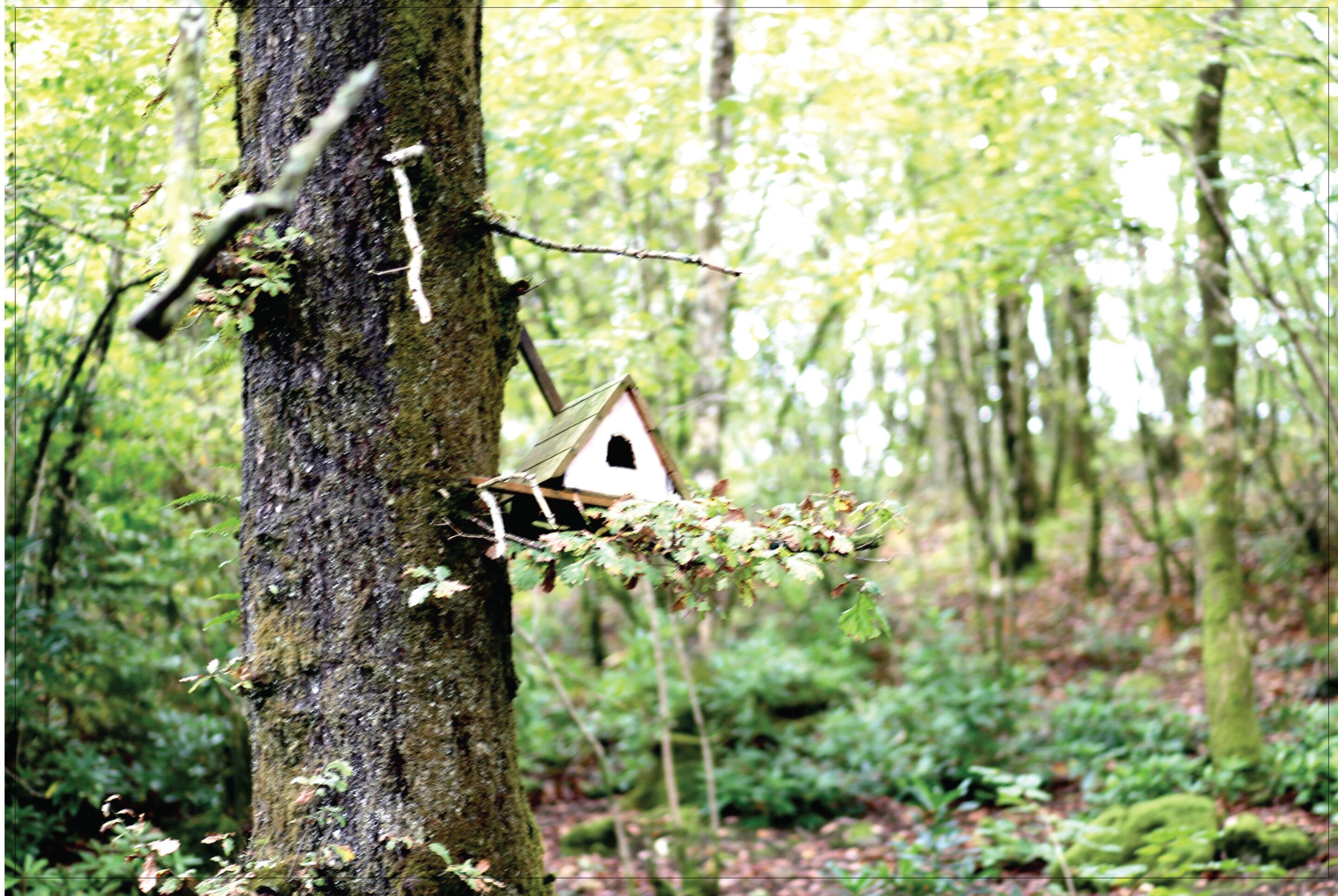 Afon Rhaiadr Country House Afon Rhaiadr Country House