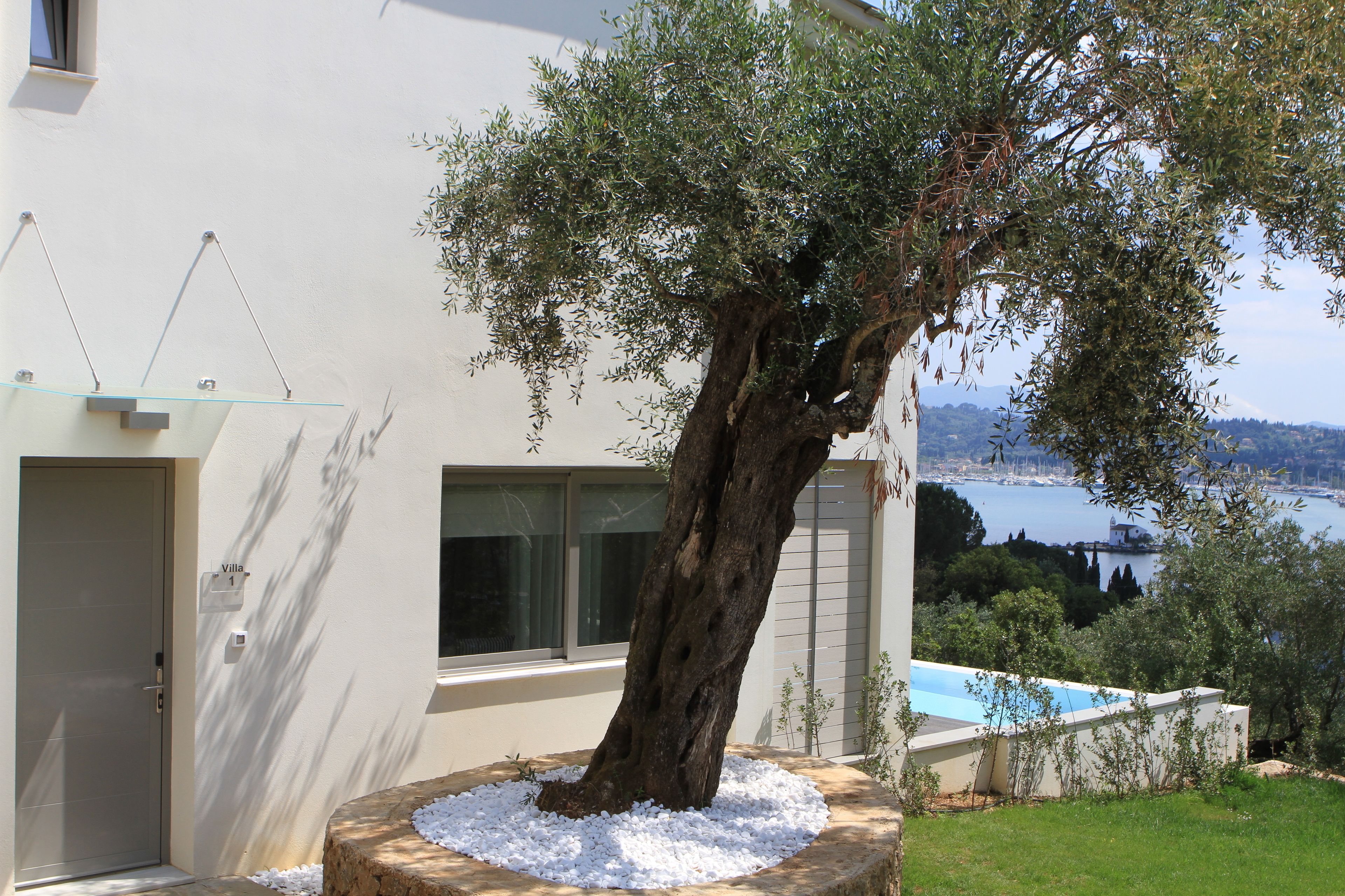 Rodostamo Hotel & Spa Rodostamo Hotel & Spa