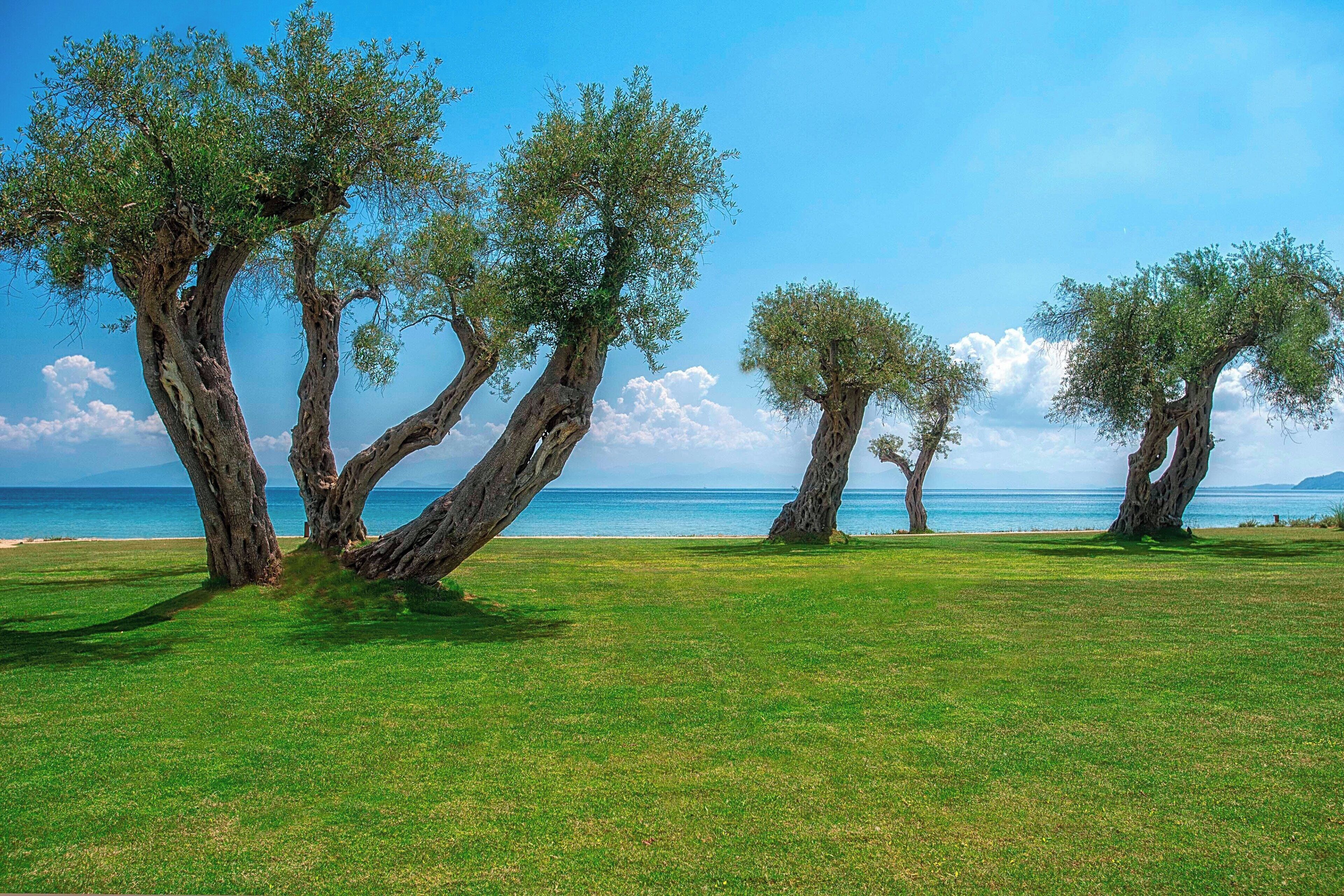 Domes Miramare, a Luxury Collection Resort, Corfu Domes Miramare, a Luxury Collection Resort, Corfu
