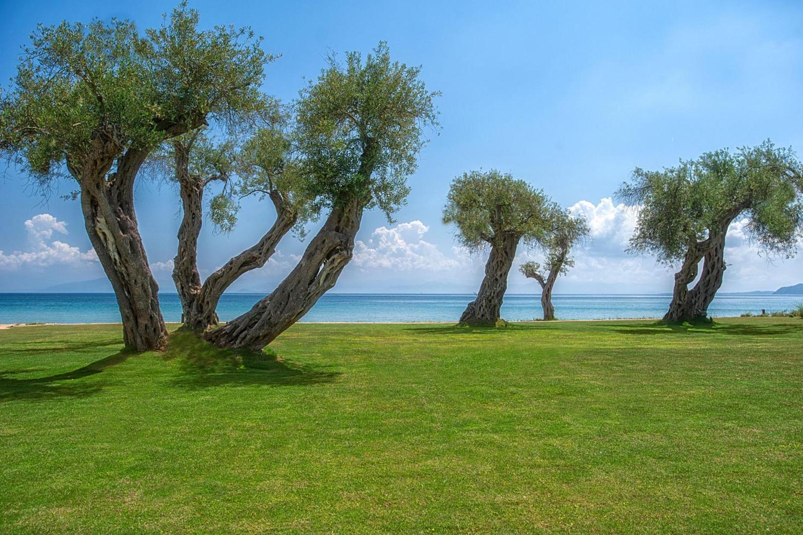 Domes Miramare, a Luxury Collection Resort, Corfu Domes Miramare, a Luxury Collection Resort, Corfu