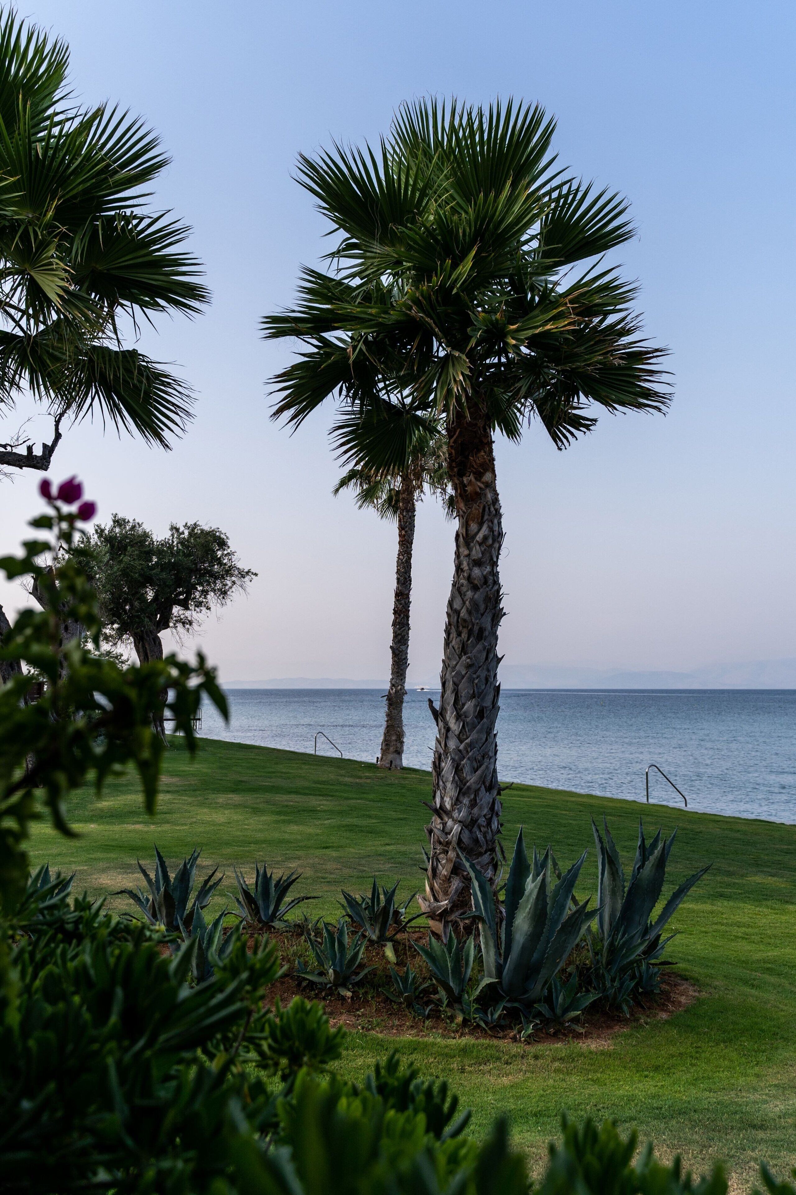 Domes Miramare, a Luxury Collection Resort, Corfu Domes Miramare, a Luxury Collection Resort, Corfu