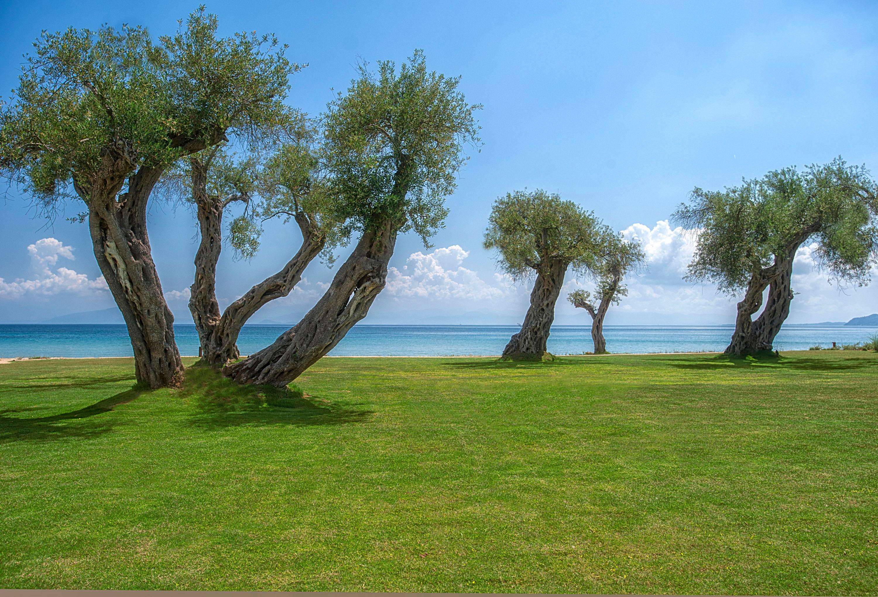 Domes Miramare, a Luxury Collection Resort, Corfu Domes Miramare, a Luxury Collection Resort, Corfu