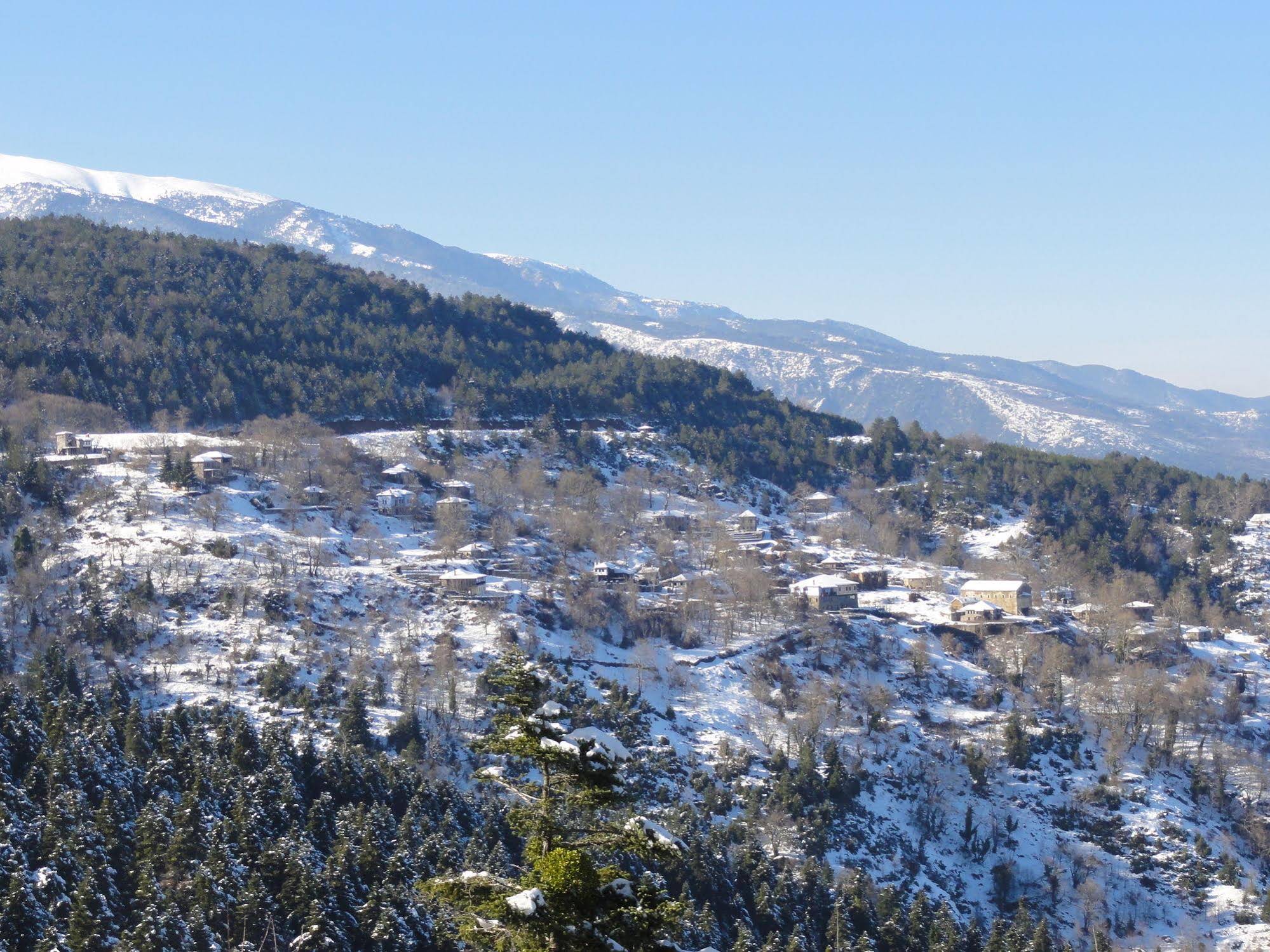 Sintrivanis Mountain Hostel Sintrivanis Mountain Hostel