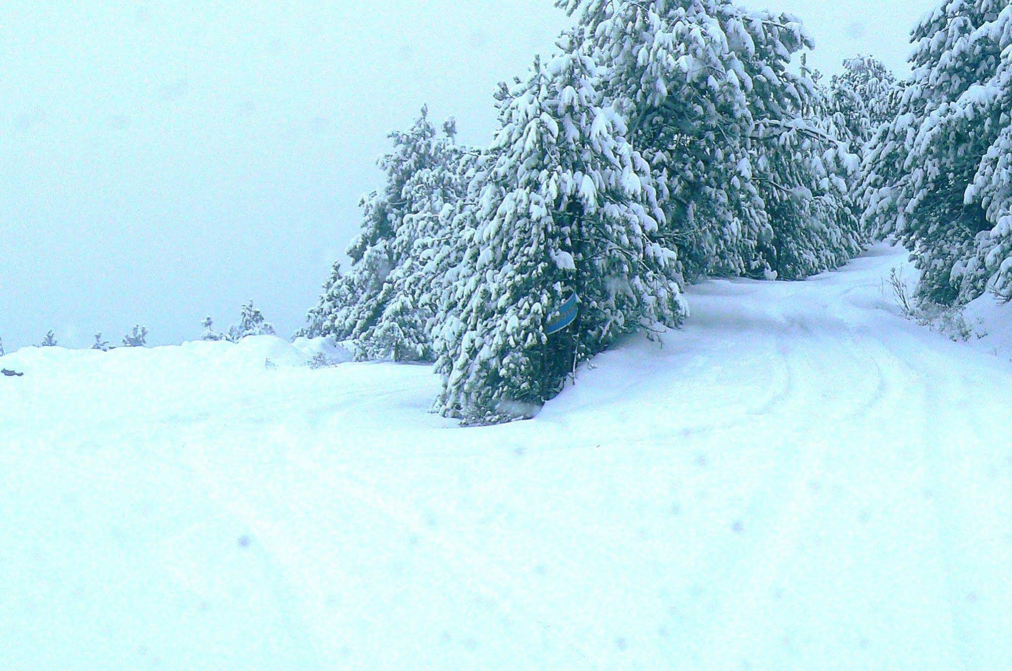 Sintrivanis Mountain Hostel Sintrivanis Mountain Hostel