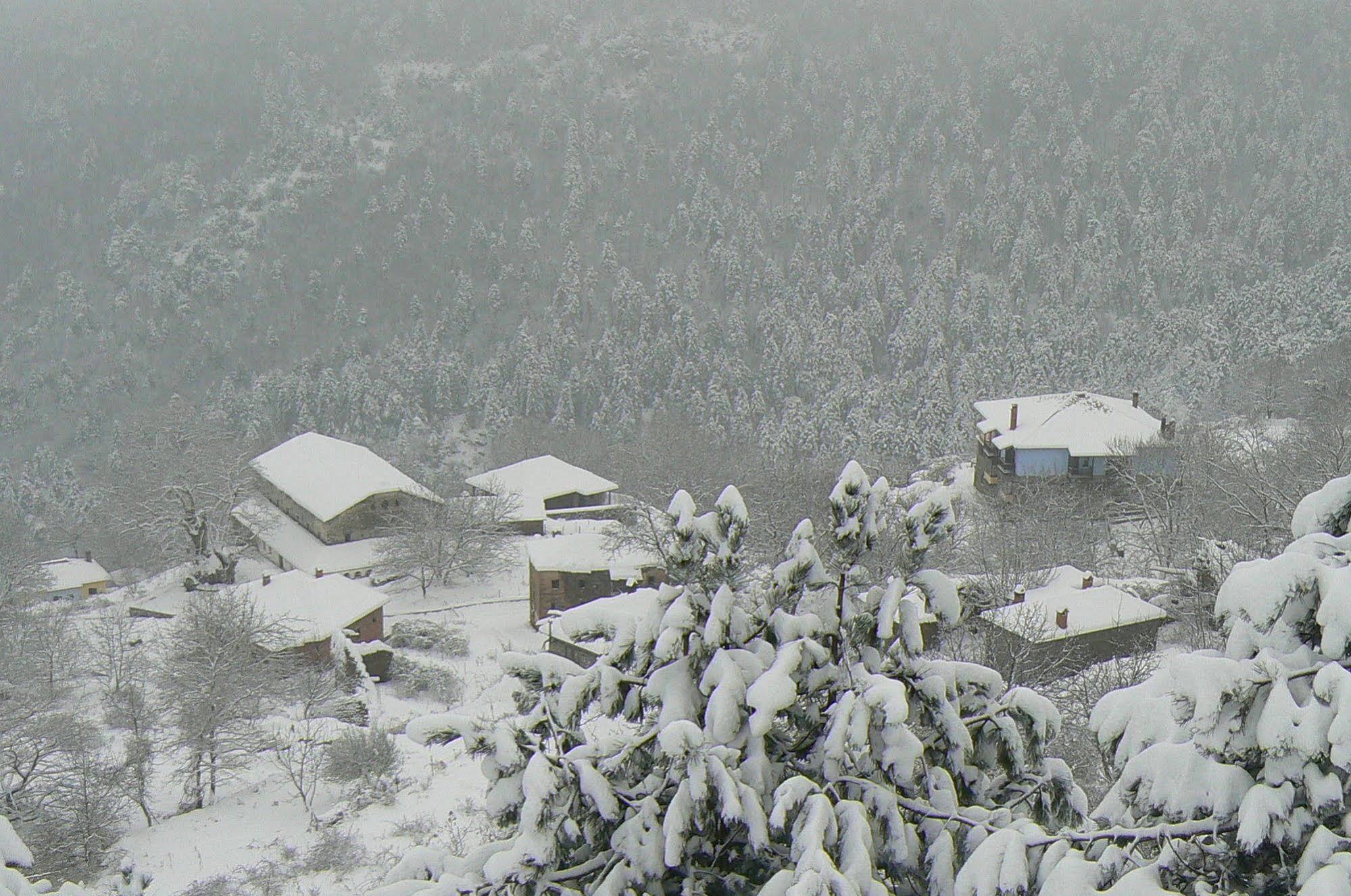 Sintrivanis Mountain Hostel Sintrivanis Mountain Hostel