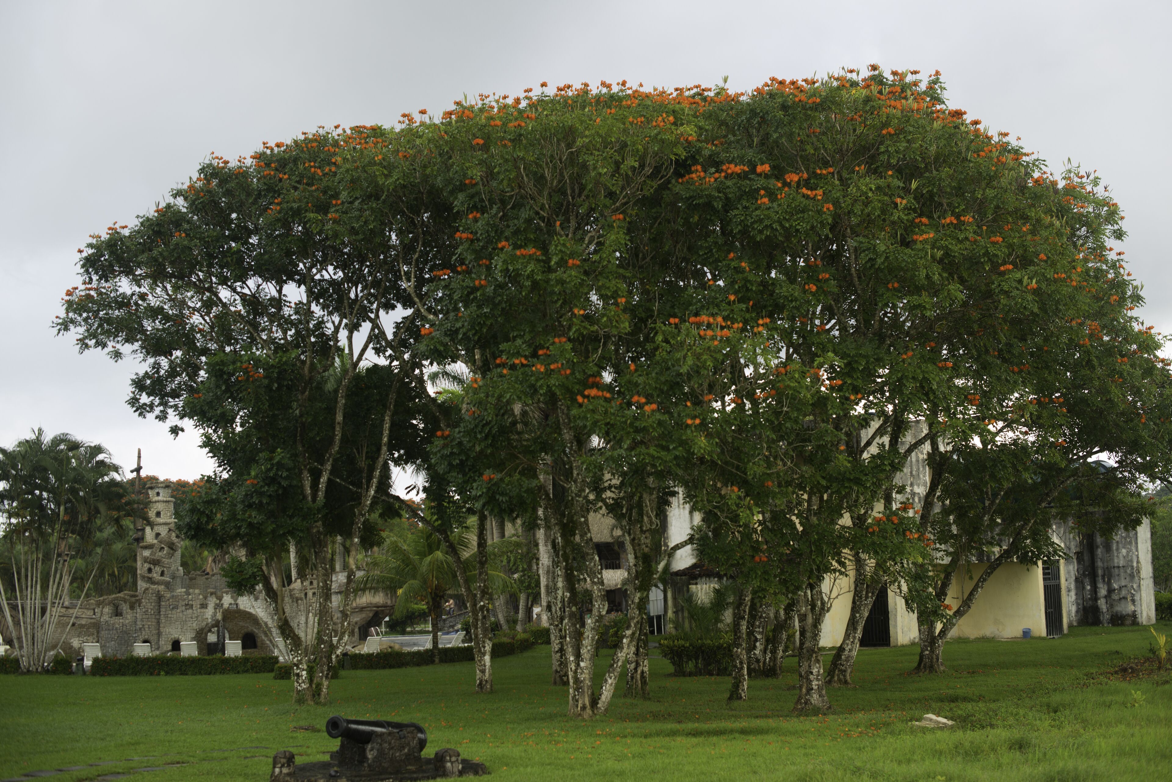 Amatique Bay Hotel Amatique Bay Hotel