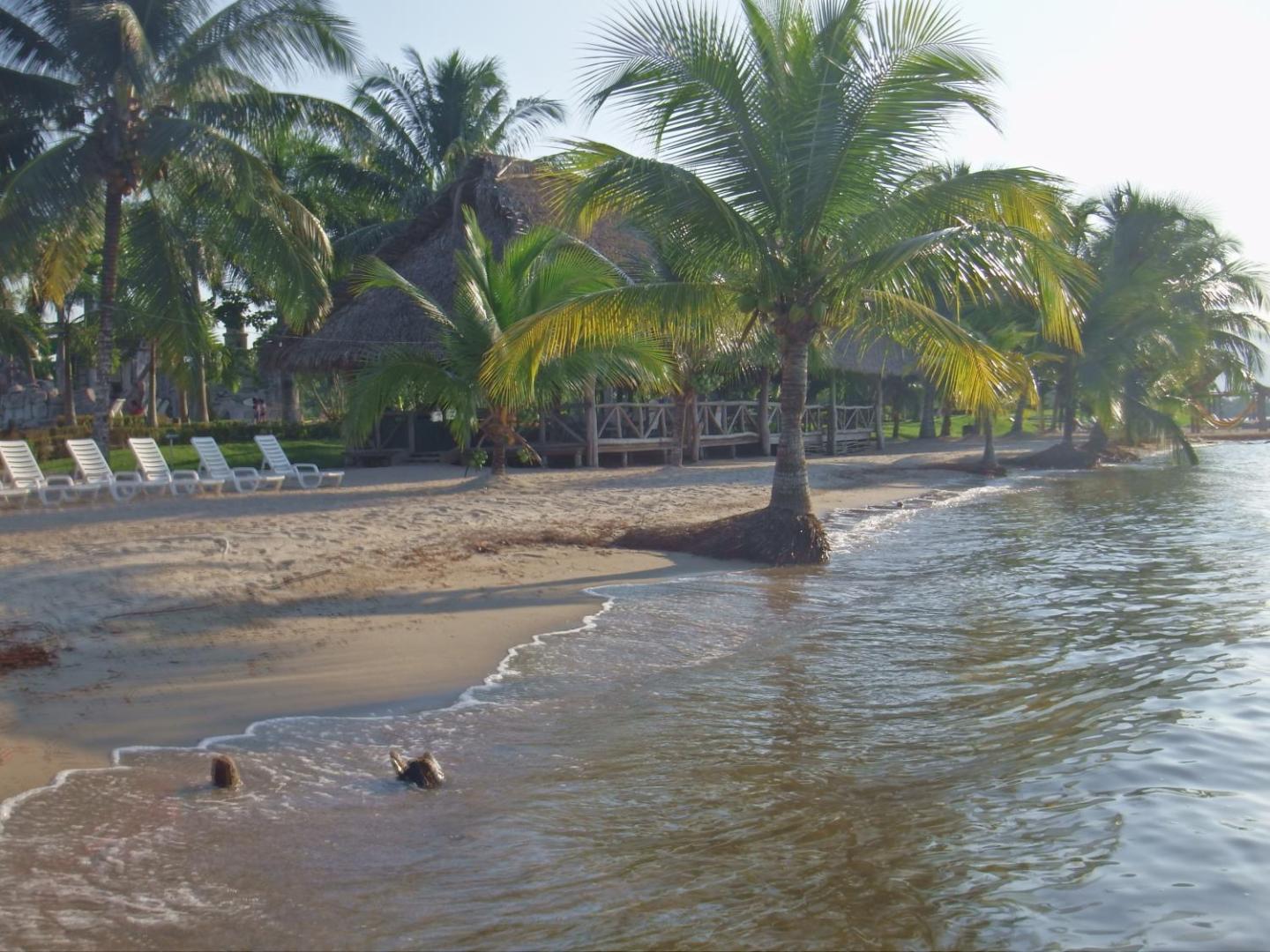 Amatique Bay Hotel Amatique Bay Hotel