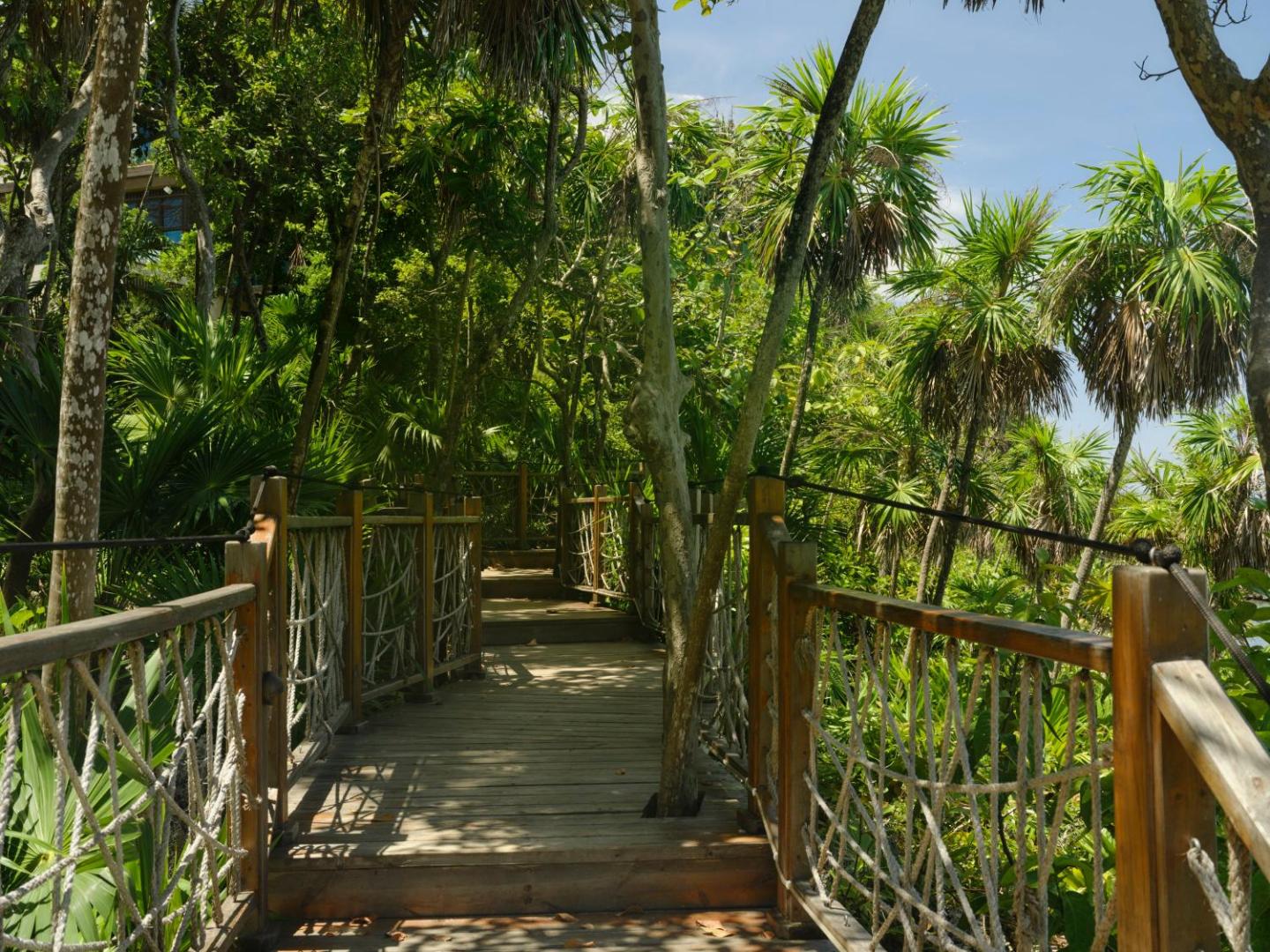 Kimpton Grand Roatán Resort & Spa Kimpton Grand Roatán Resort & Spa