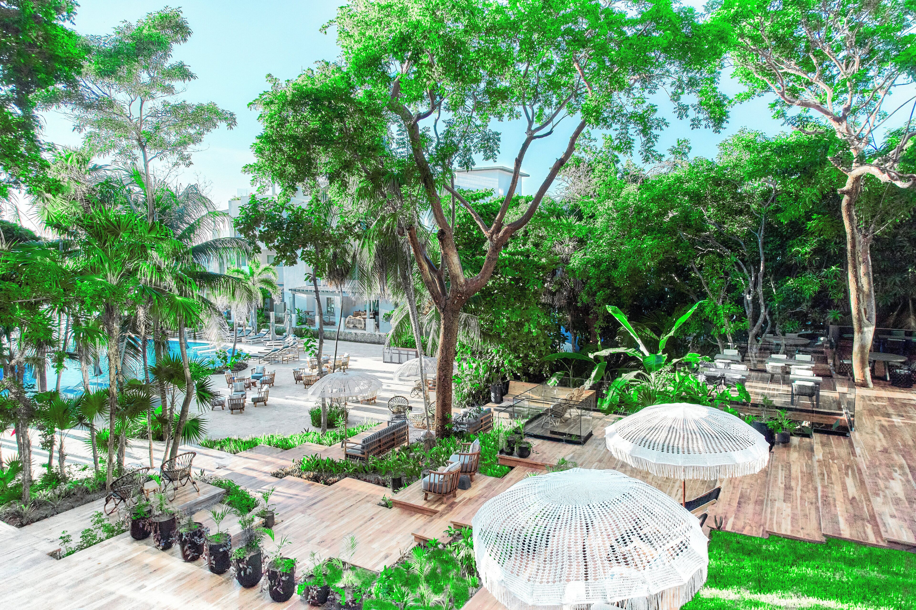 Kimpton Grand Roatán Resort & Spa Kimpton Grand Roatán Resort & Spa