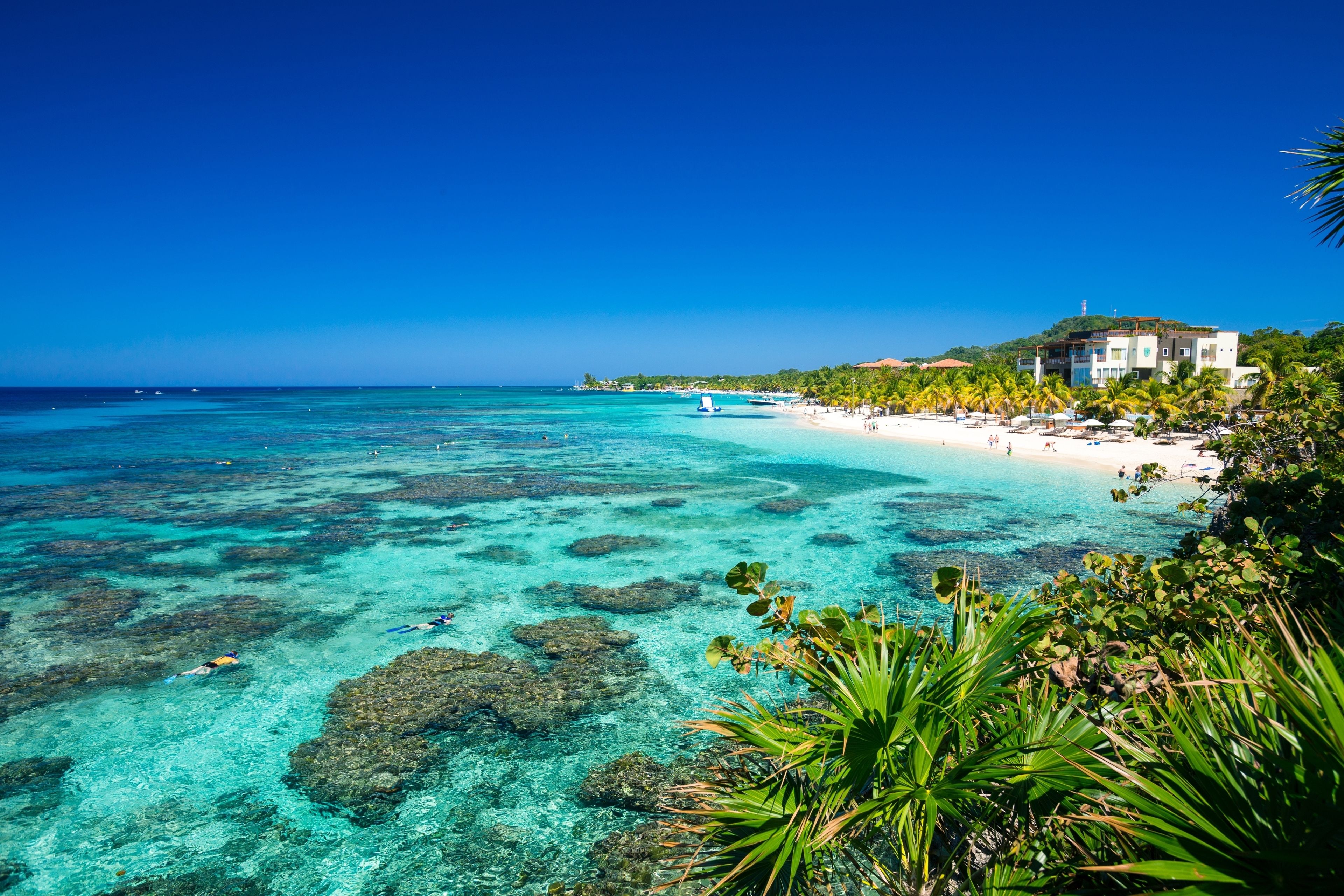 Kimpton Grand Roatán Resort & Spa Kimpton Grand Roatán Resort & Spa