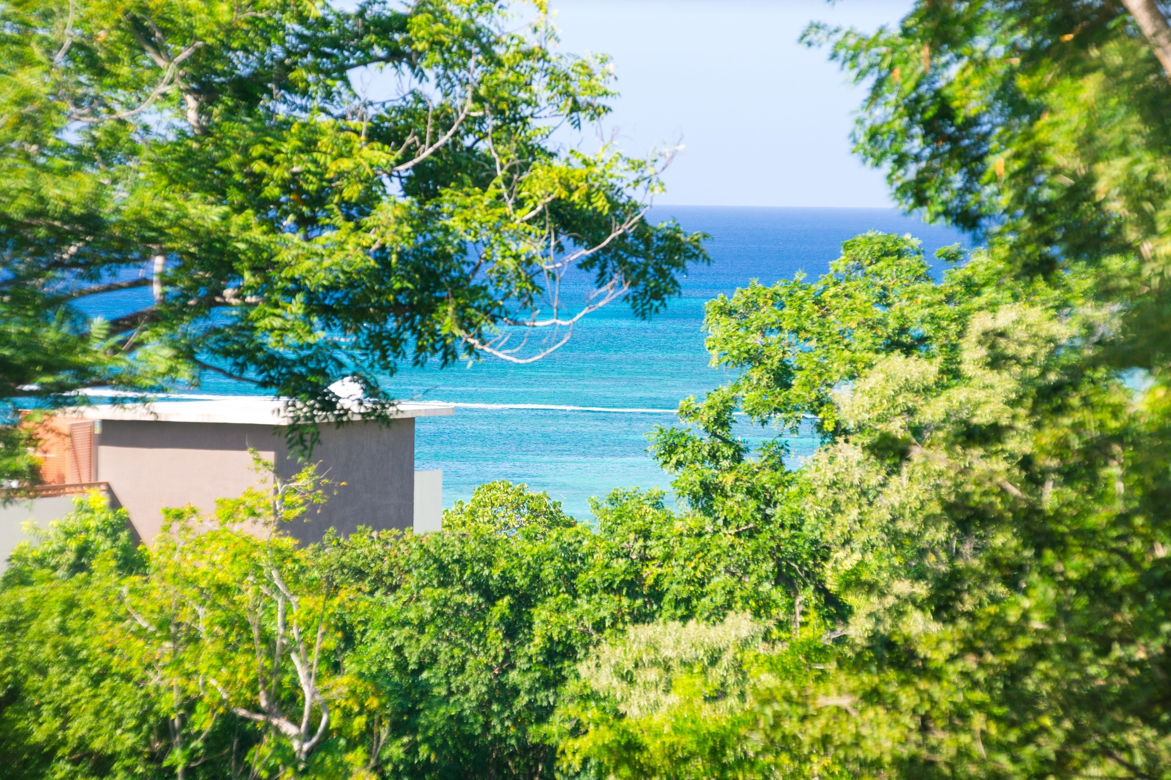 Kimpton Grand Roatán Resort & Spa Kimpton Grand Roatán Resort & Spa