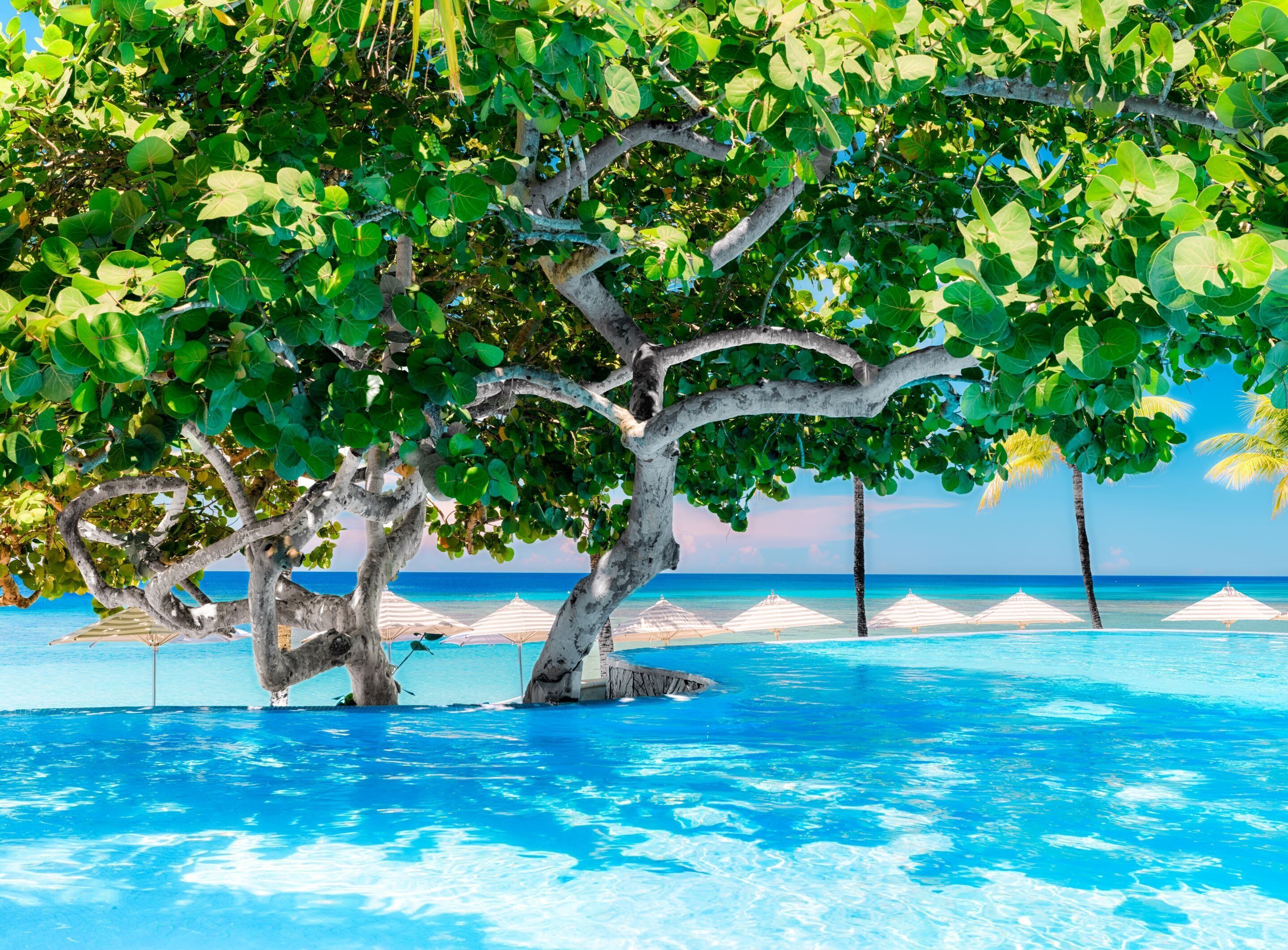 Kimpton Grand Roatán Resort & Spa Kimpton Grand Roatán Resort & Spa