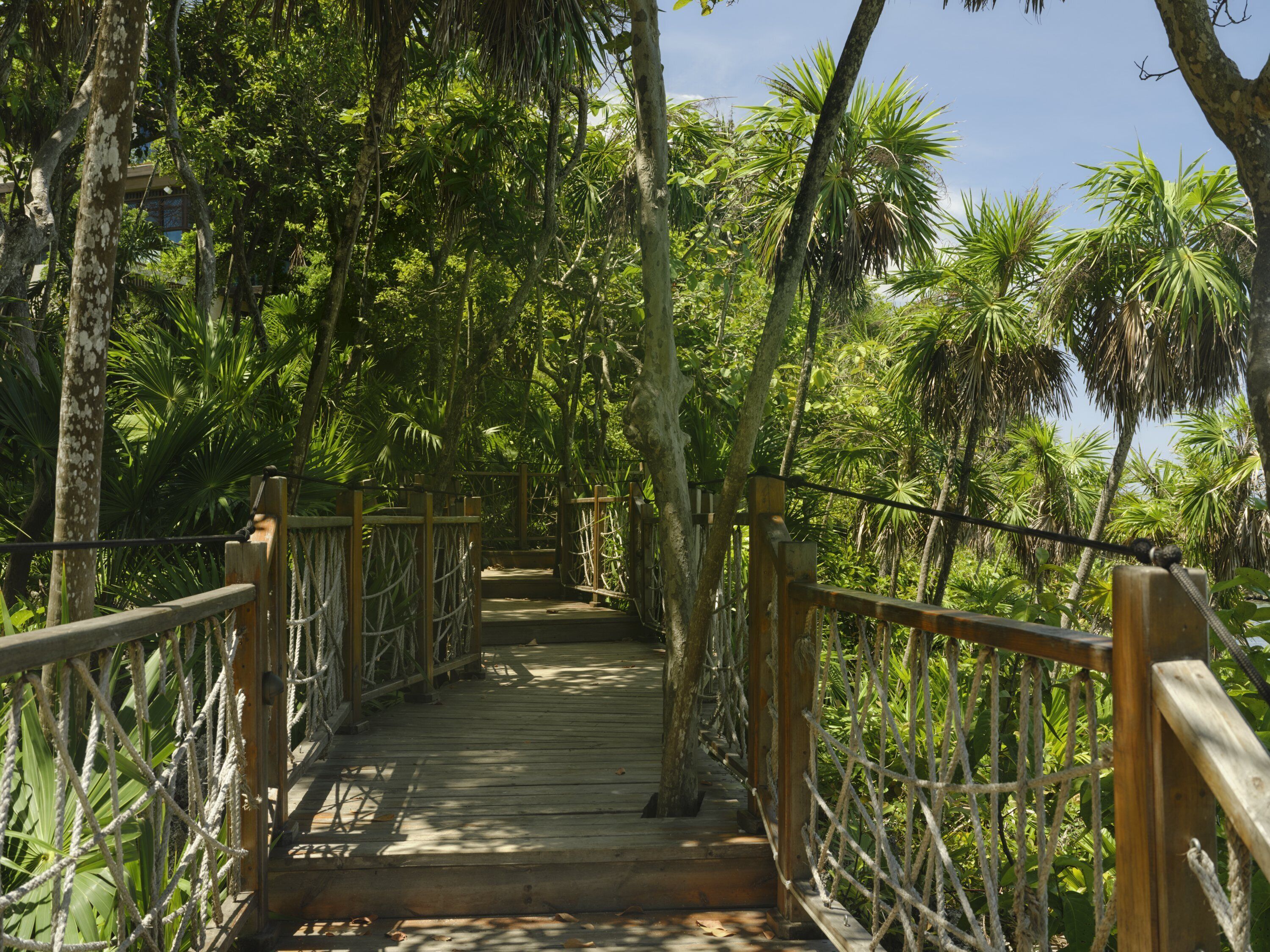 Kimpton Grand Roatán Resort & Spa Kimpton Grand Roatán Resort & Spa