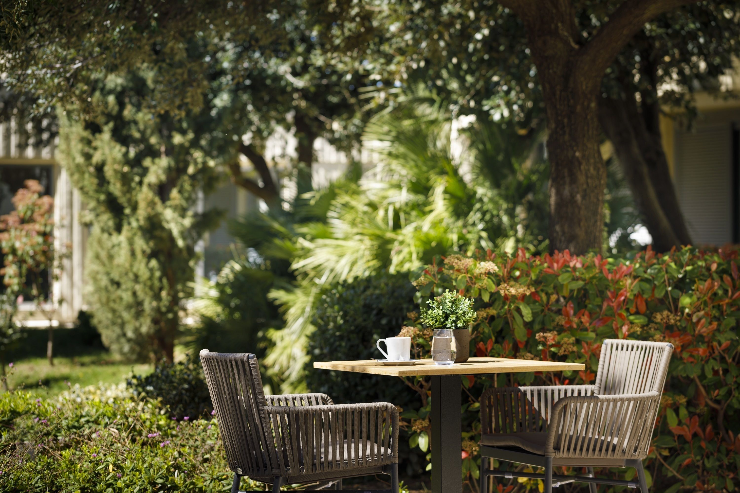 Valamar Argosy Hotel Valamar Argosy Hotel